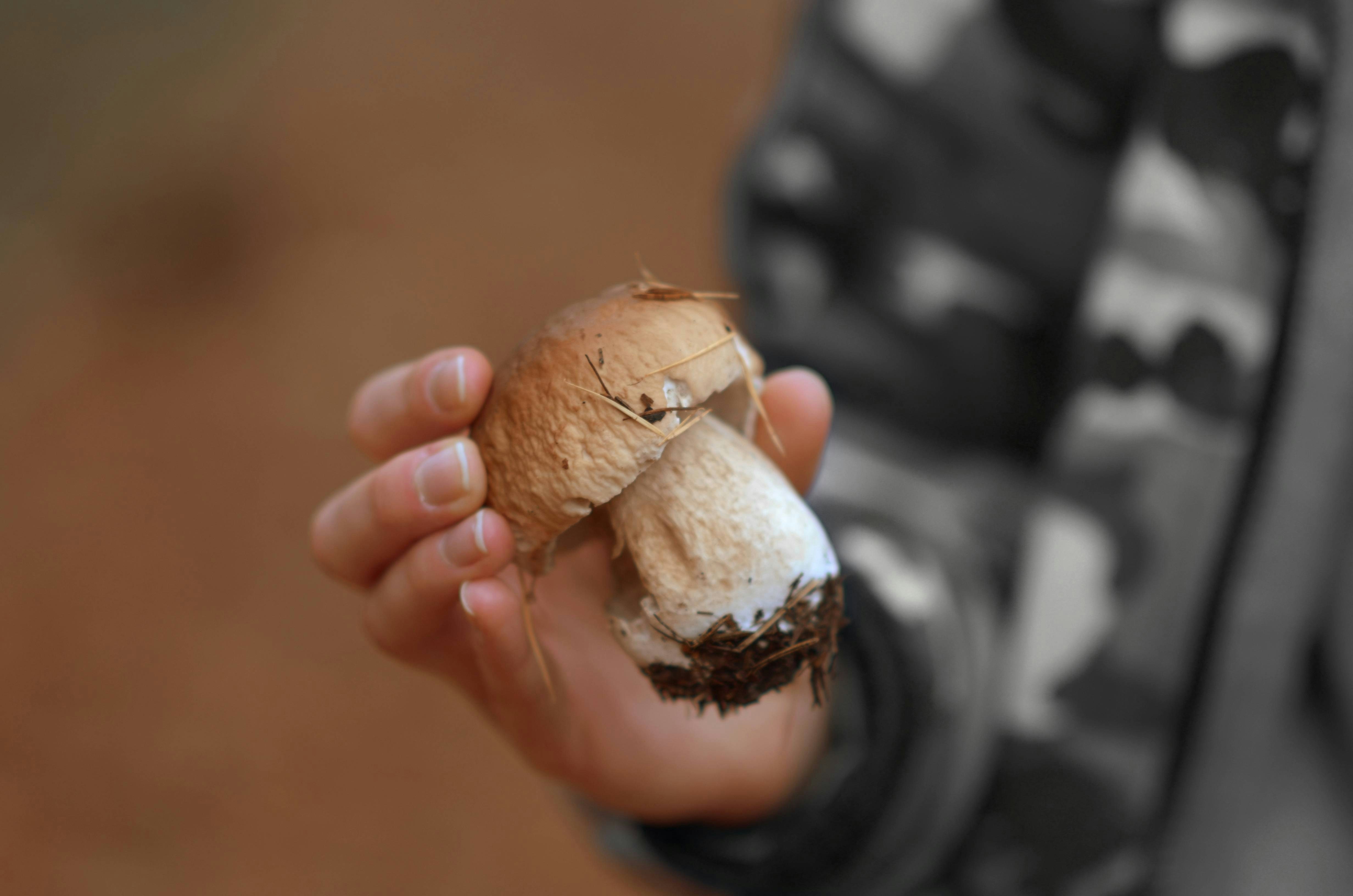 Go to Glen Dante's profile