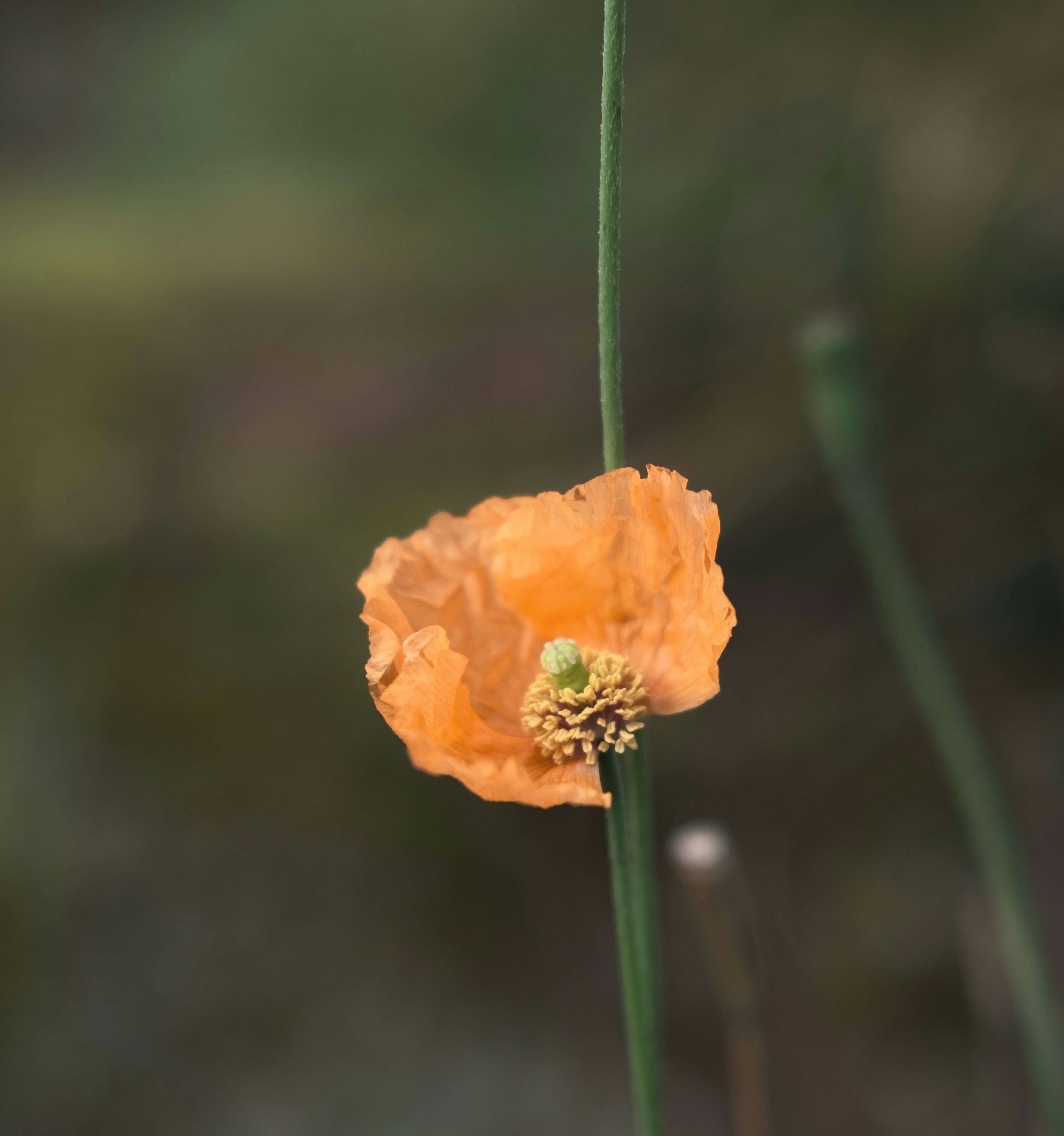 Go to Andrei Ovidiu's profile