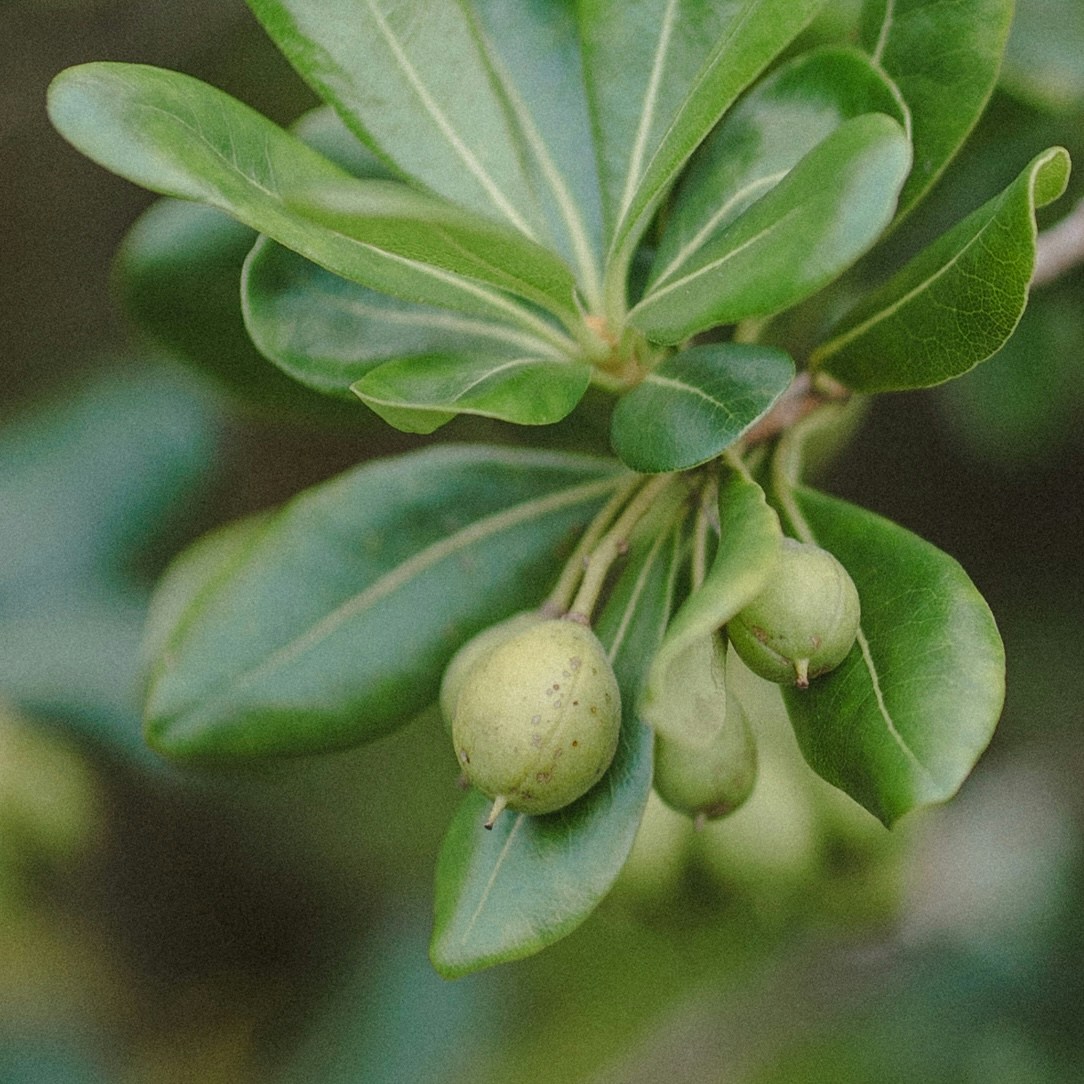 Go to ika ika's profile