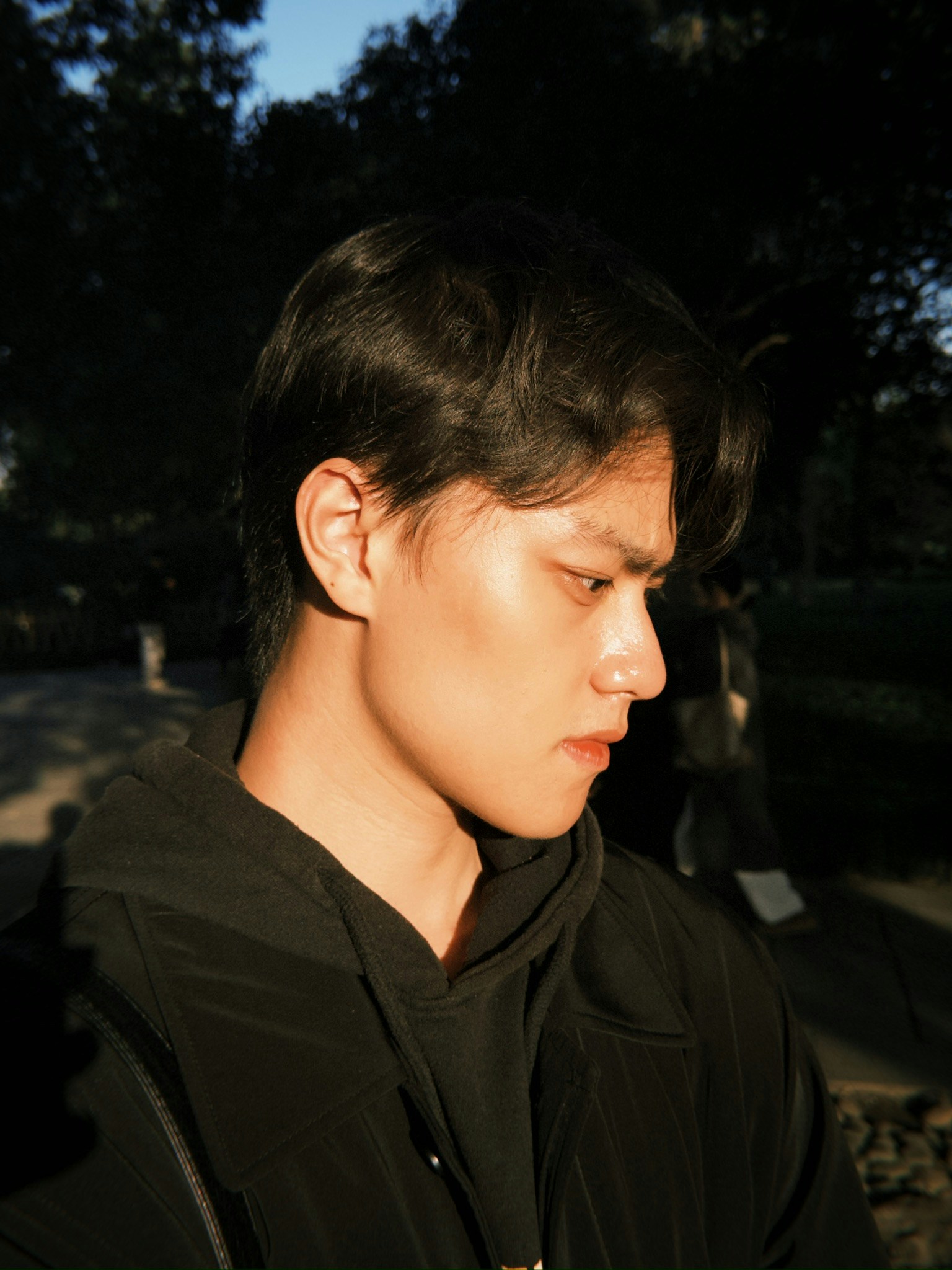 Zum Profil von Fangchen Ji