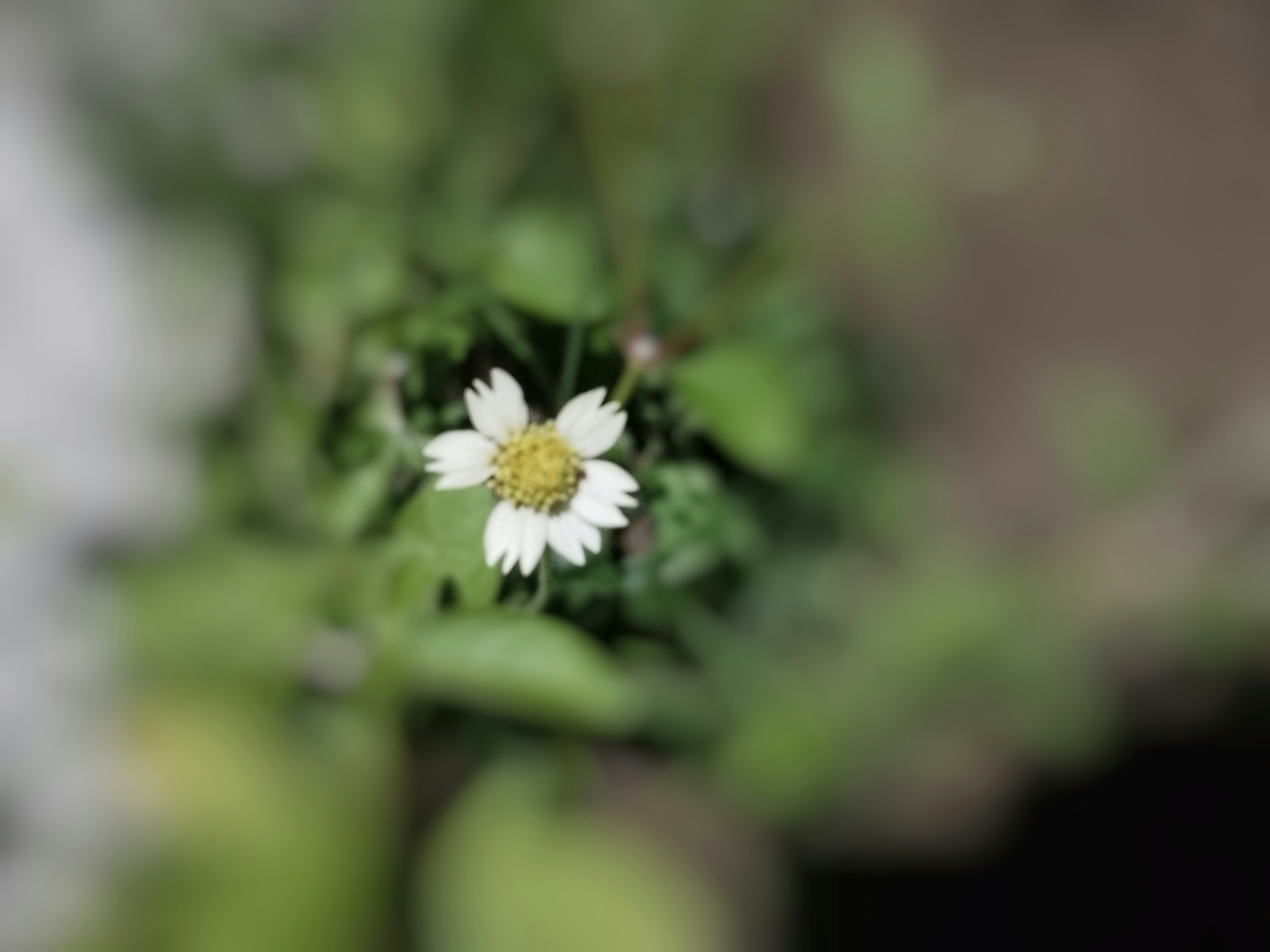 Go to Photography Mahi's profile