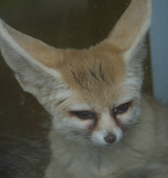 Go to Haki Ost's profile