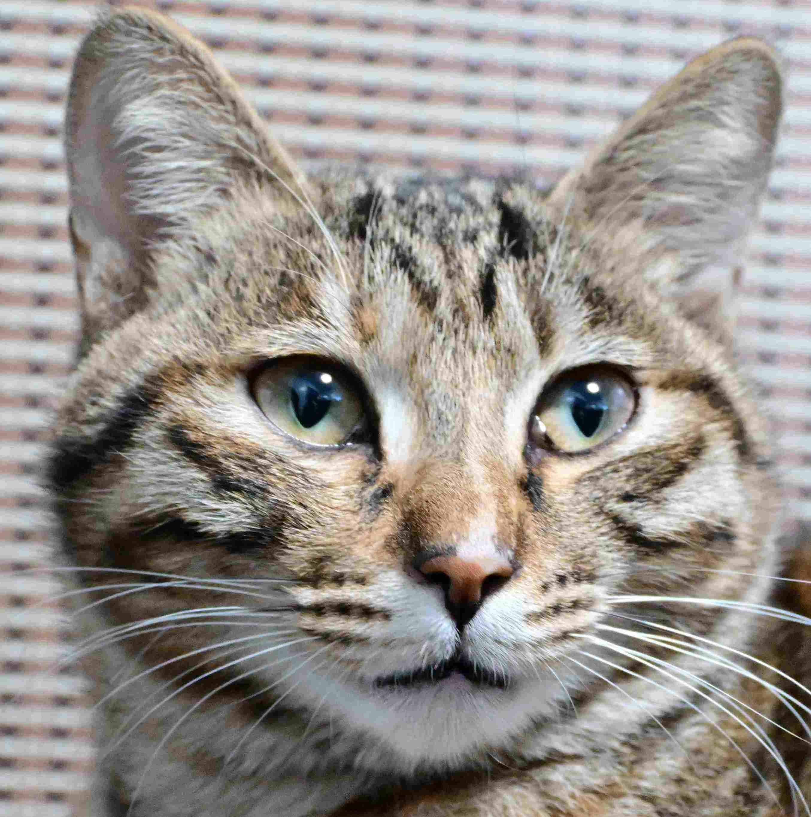 Go to Xiang Qiu's profile