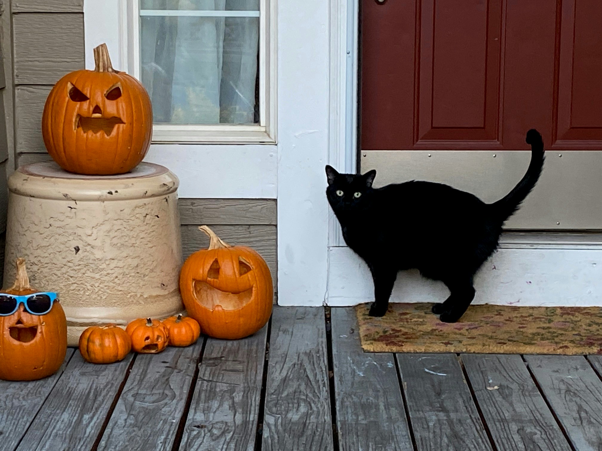 Go to Meli Fer's profile