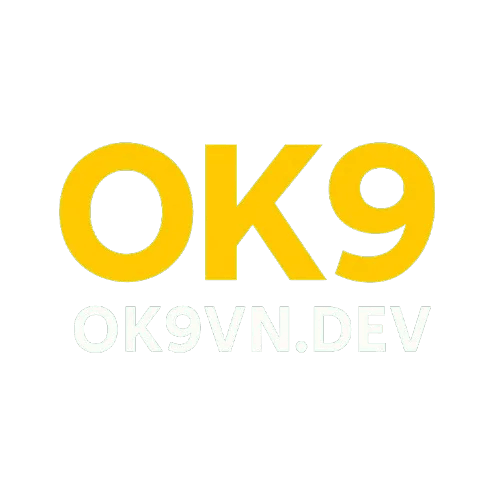 Avatar of user ok9vndev ok9vndev