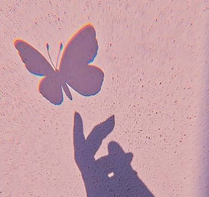 Go to Ana Miranda's profile