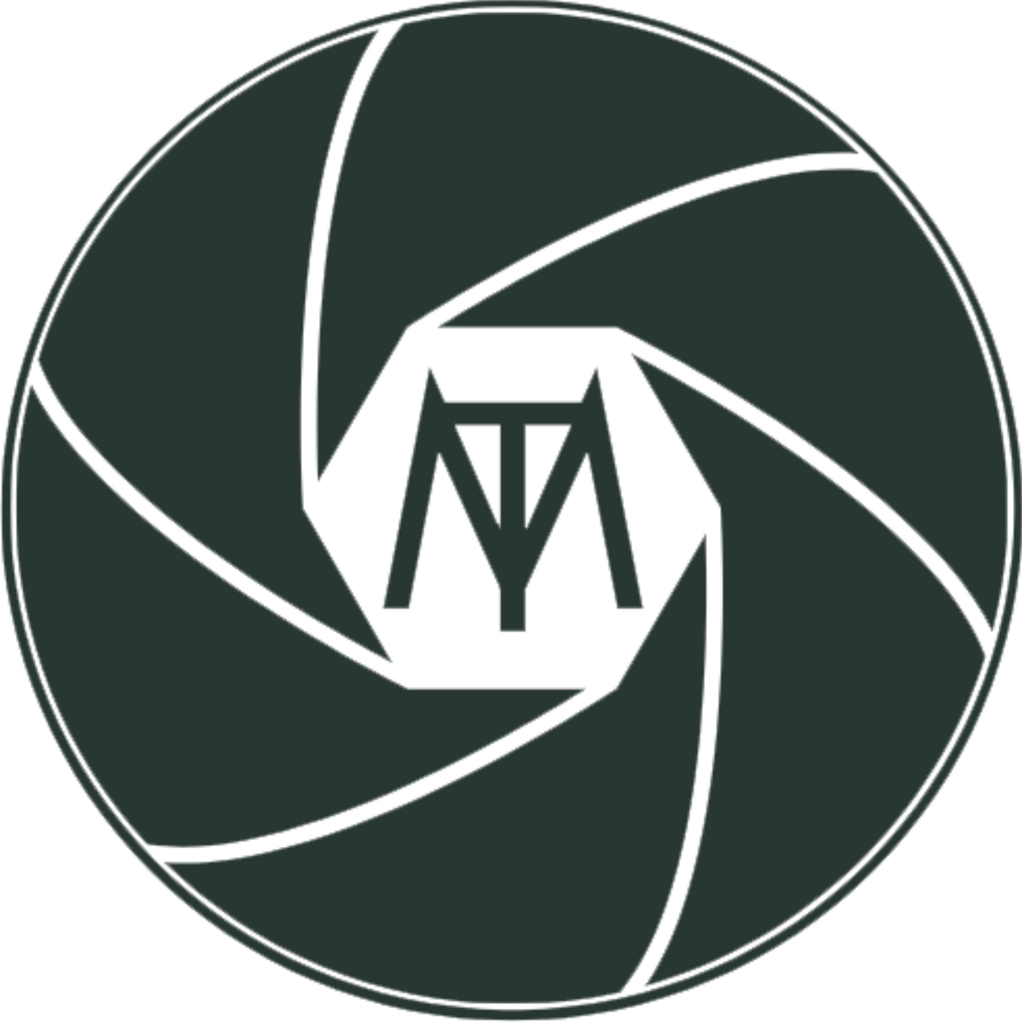 Zum Profil von Ma Ti