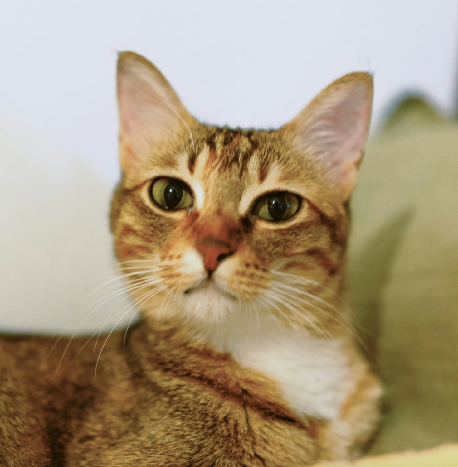 Go to maxine guo's profile