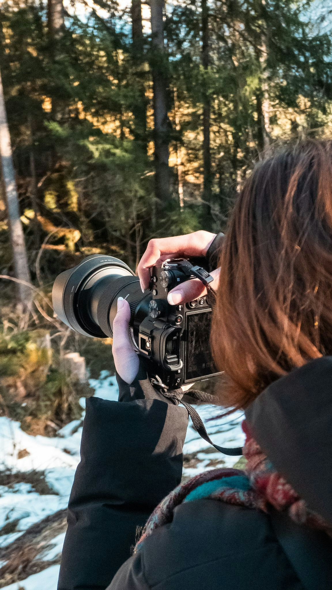 Go to Melina Dominic Streit's profile