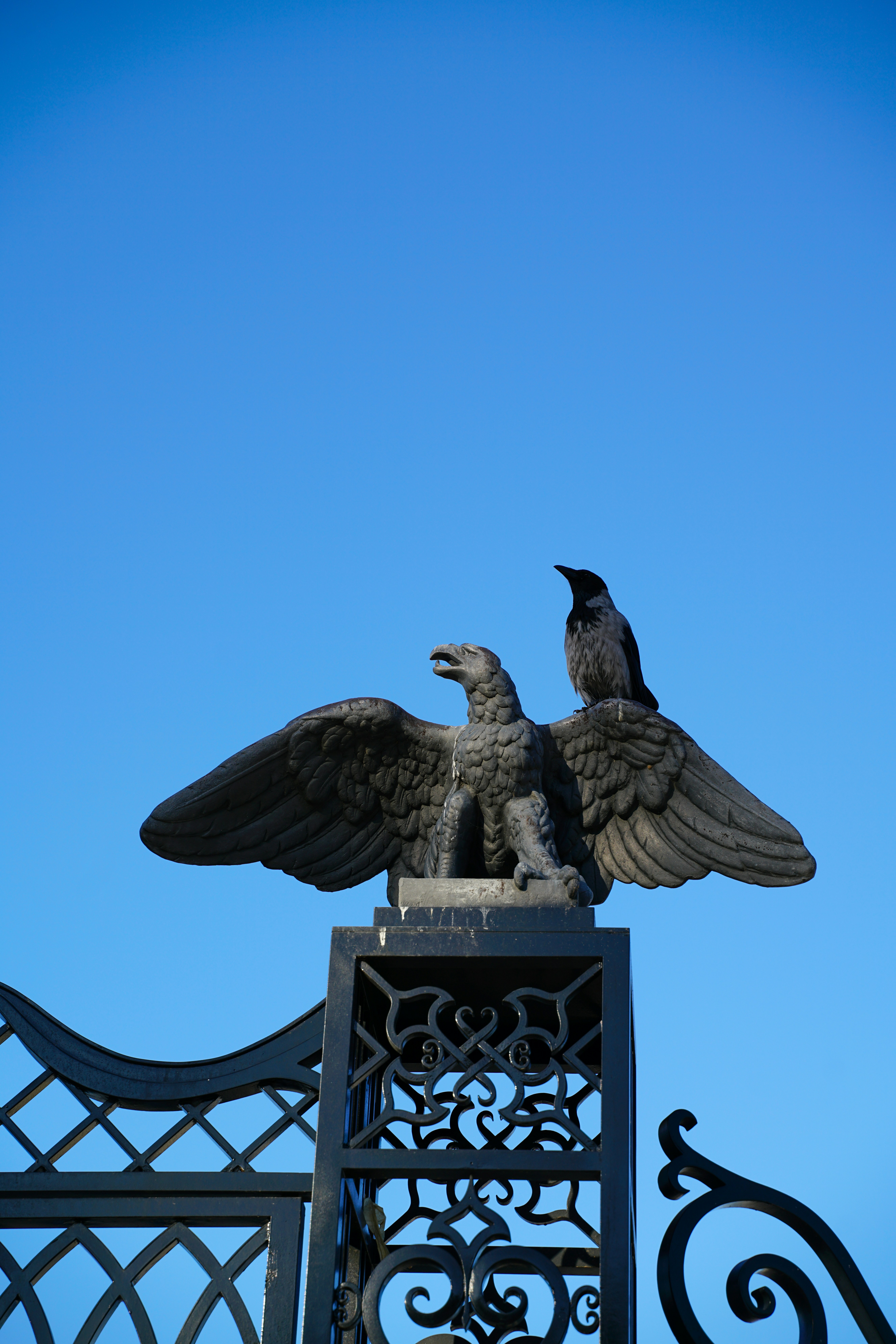 Go to George 🦅's profile