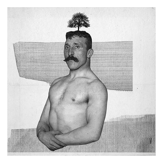 piotr jastrowiczのプロフィールを見る