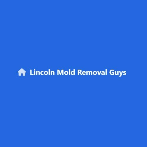 Avatar of user Lincoln Mold Removal Guys