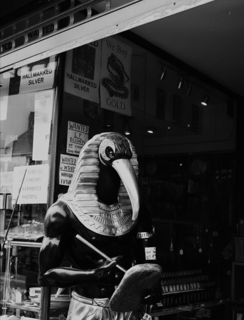 Go to Bino ­'s profile