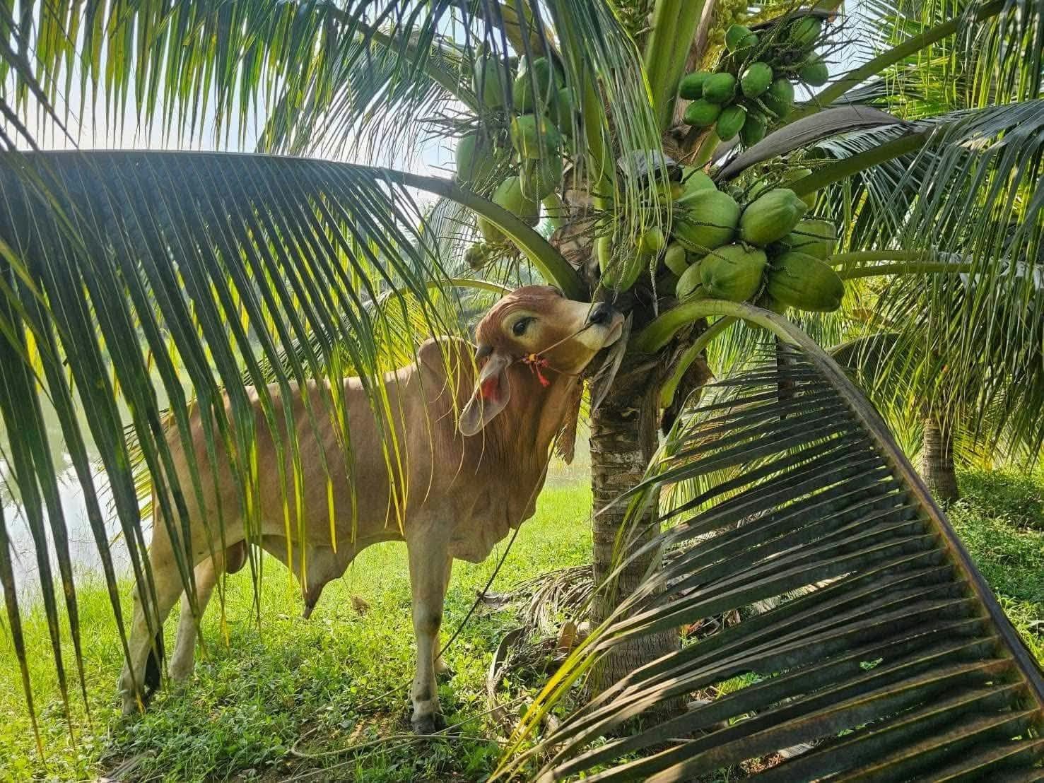 Go to The Manh's profile