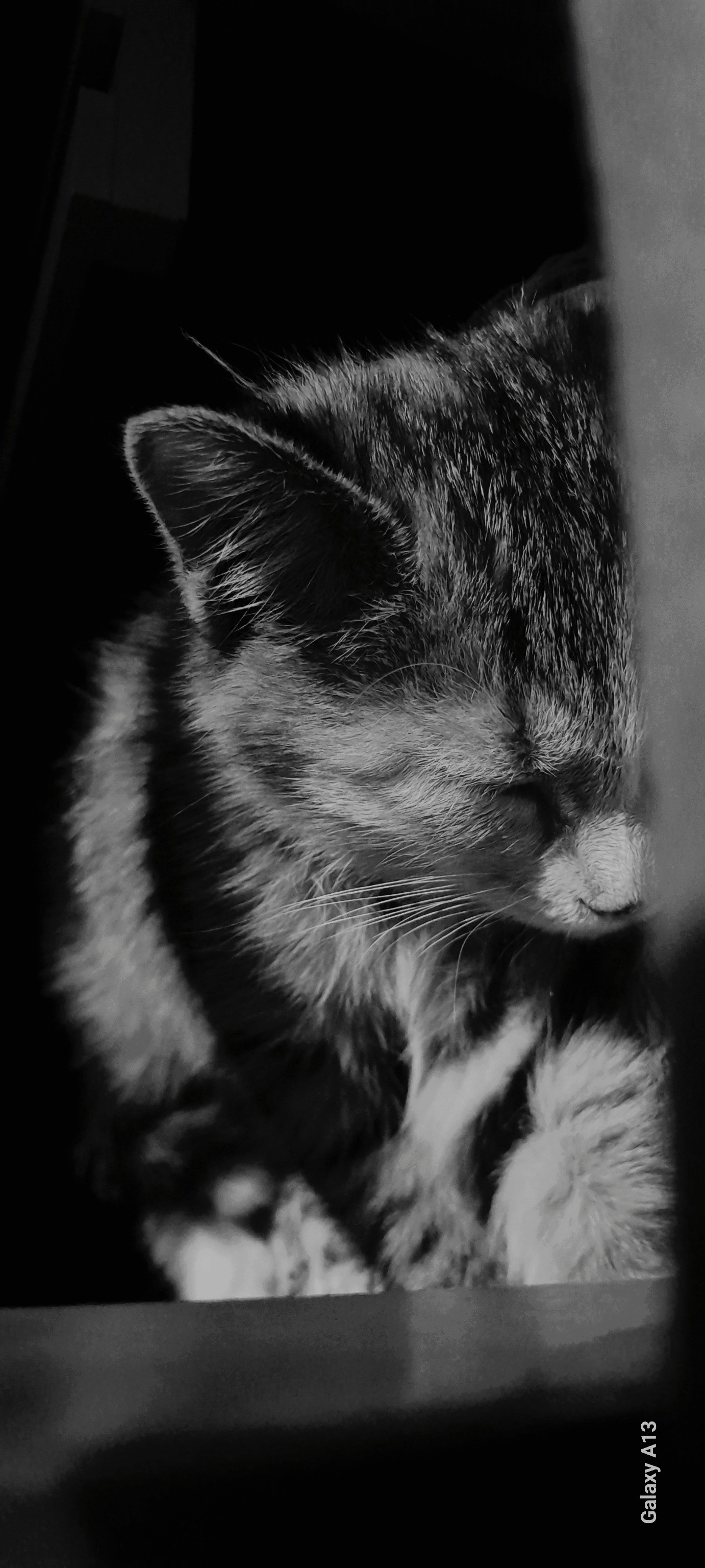 Go to Maryam Saghandi's profile