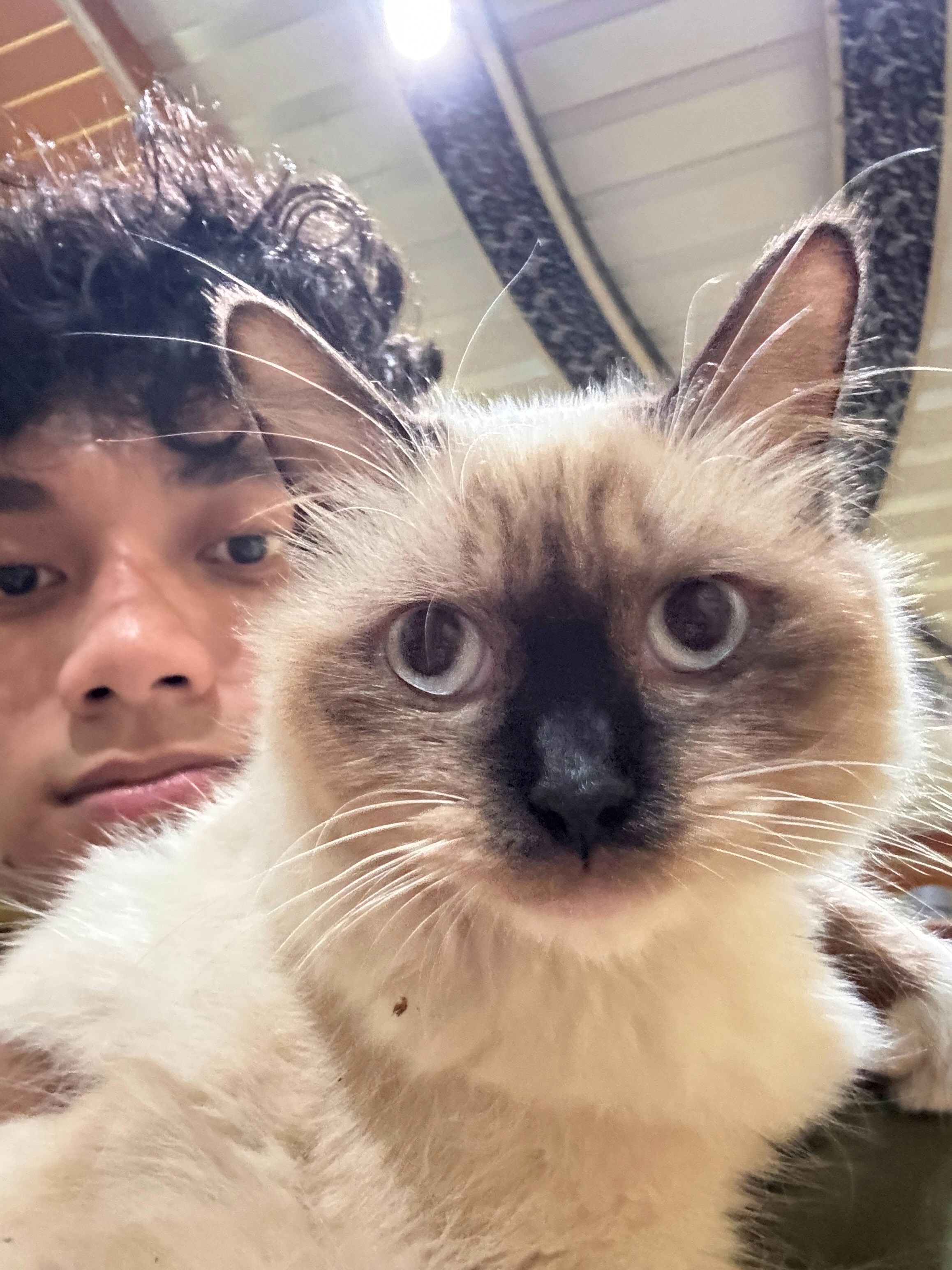 Zum Profil von Fadhlan Hamidy