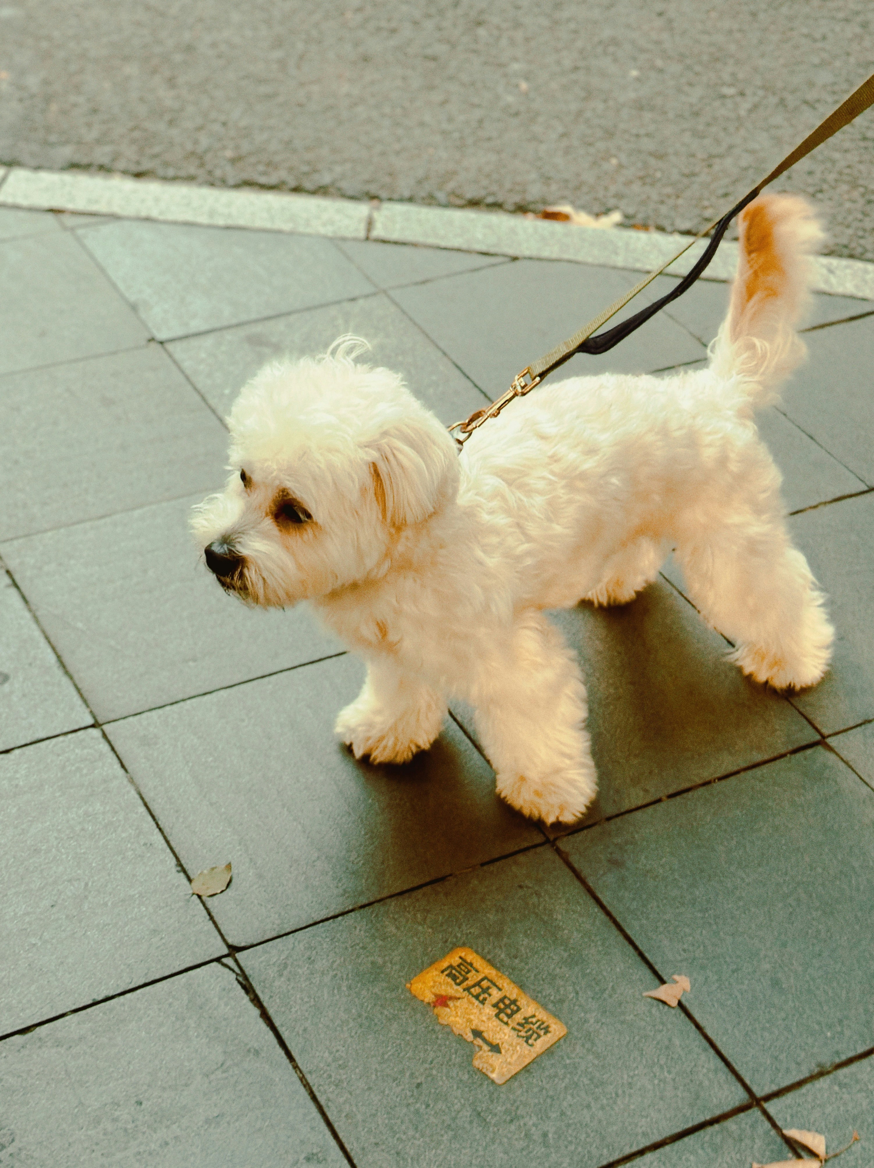 Go to weii's profile