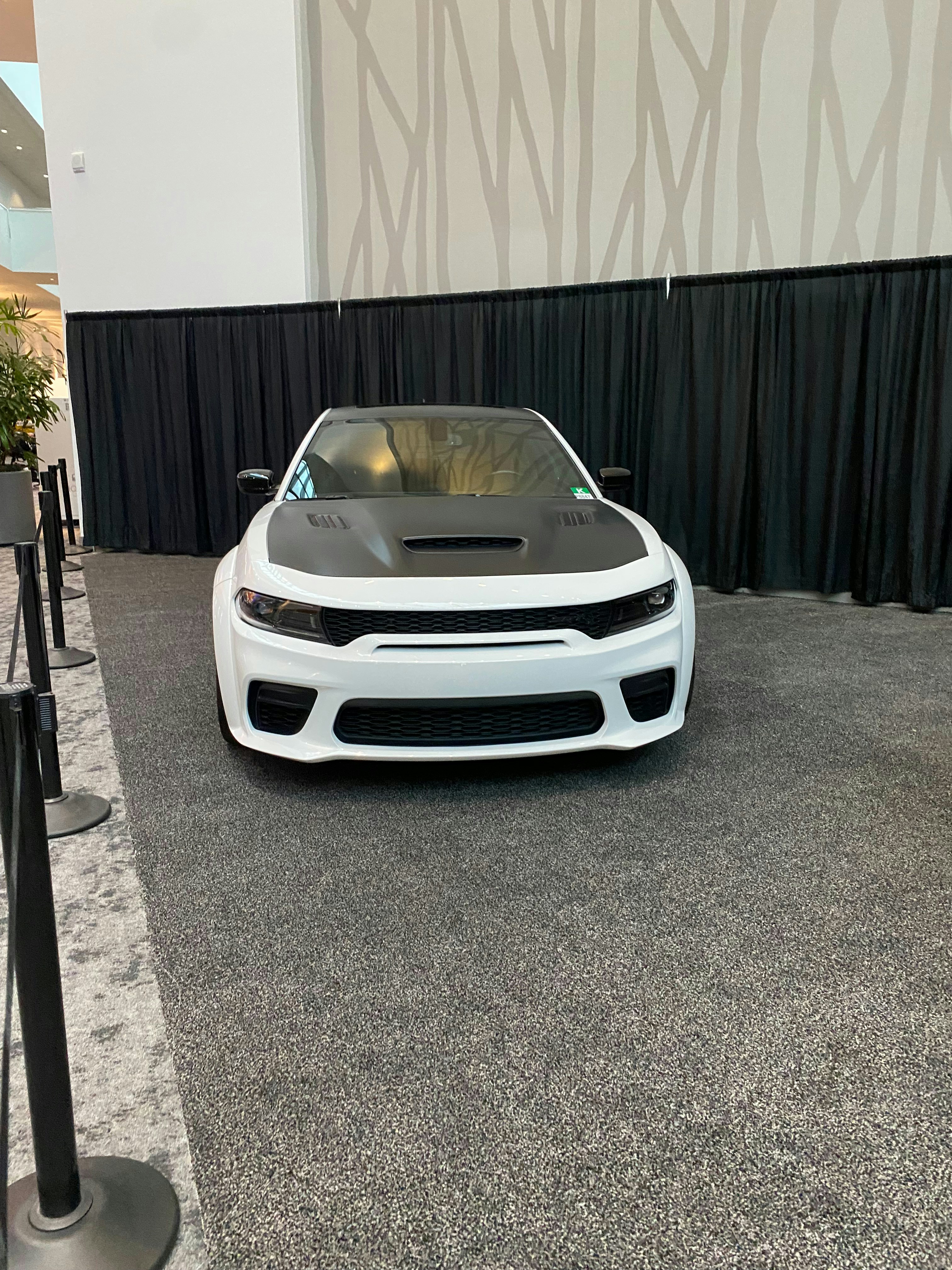 Go to Hamilton Rogers's profile