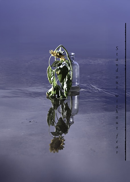 Go to Little Annabell's profile