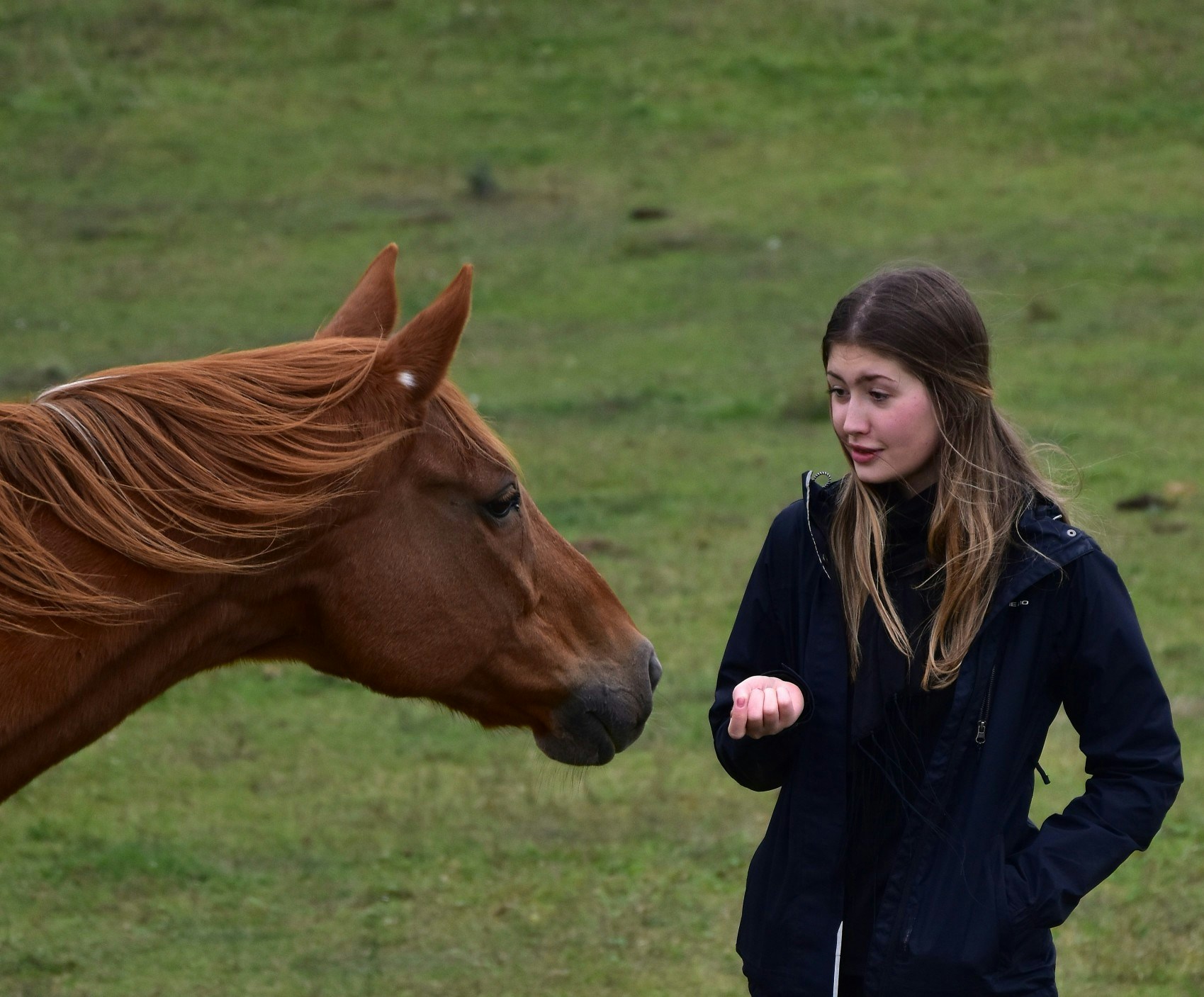 Go to Sára Sedlmajerová's profile