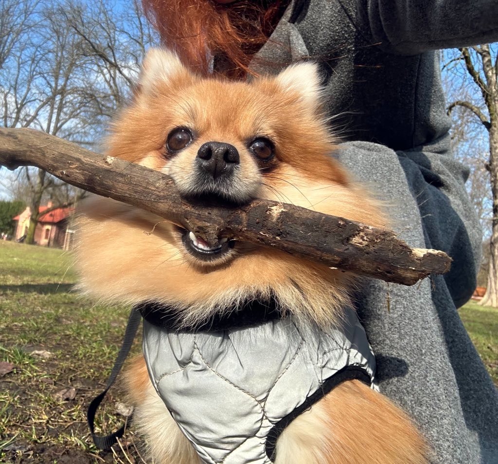 Go to Halyna Olshanetska's profile