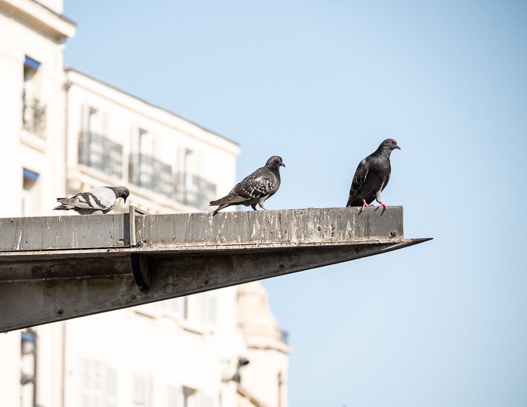 Go to Steven DONGMO's profile