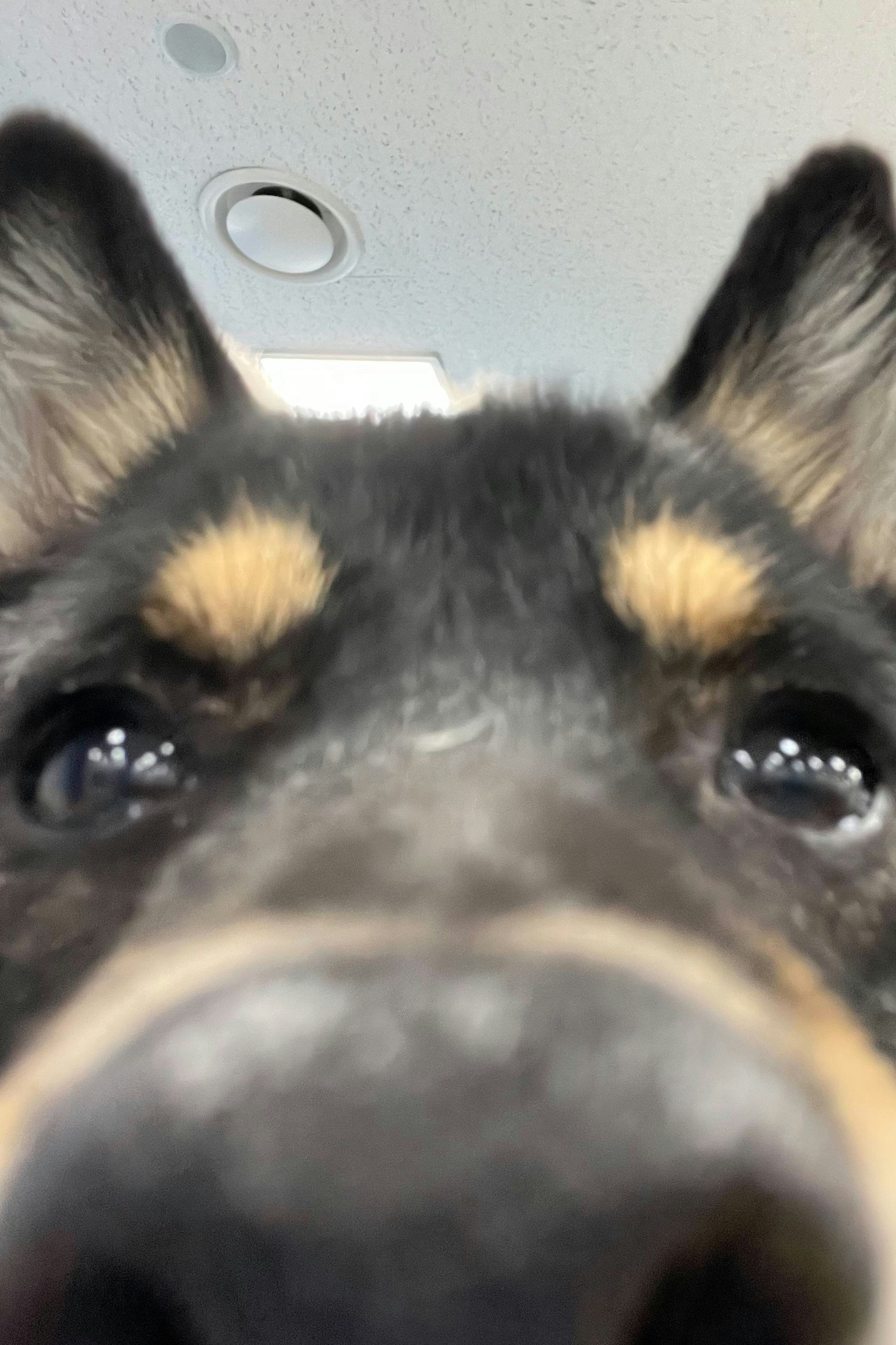 Go to Sarang LEE's profile