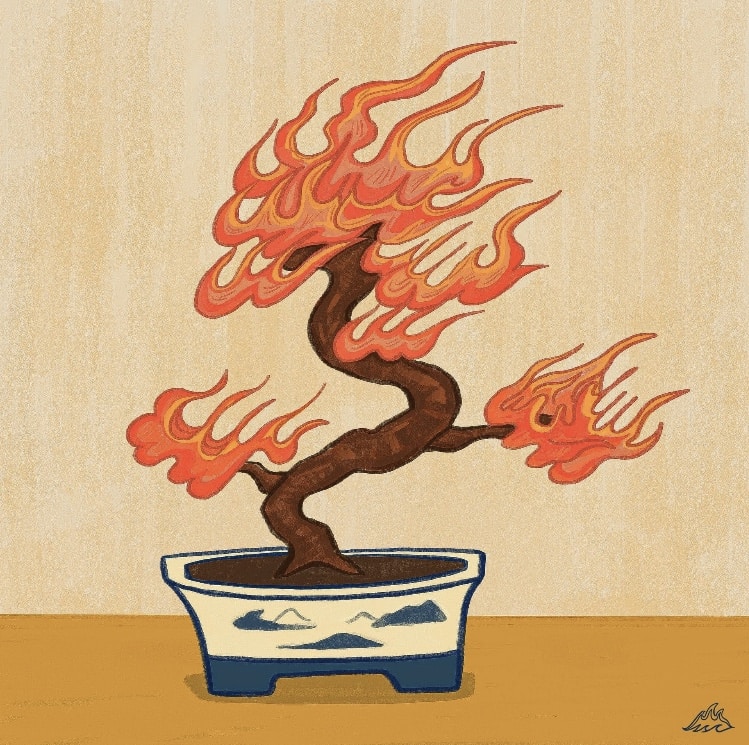 Avatar of user T ROY