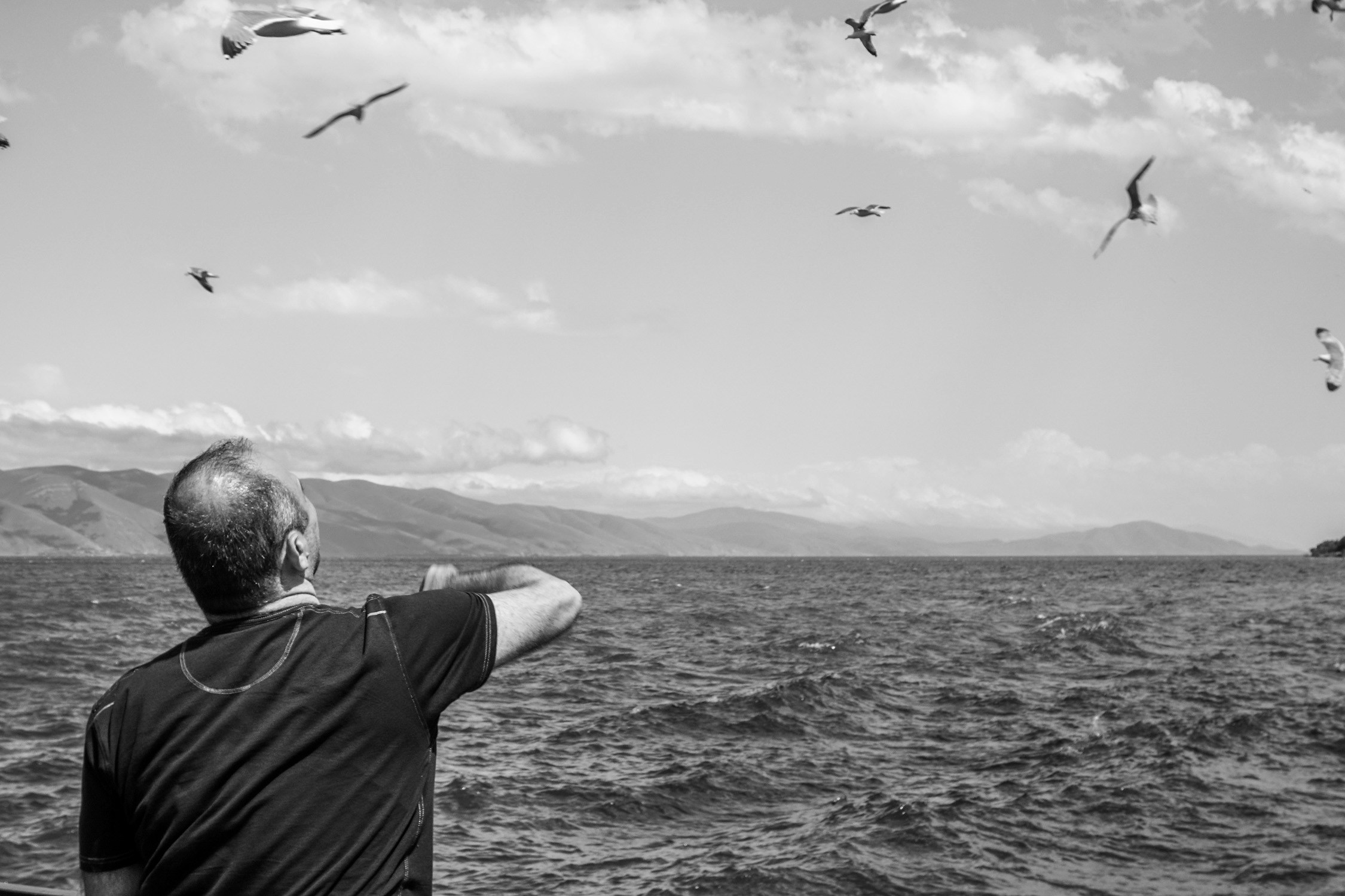 Go to Ars M's profile