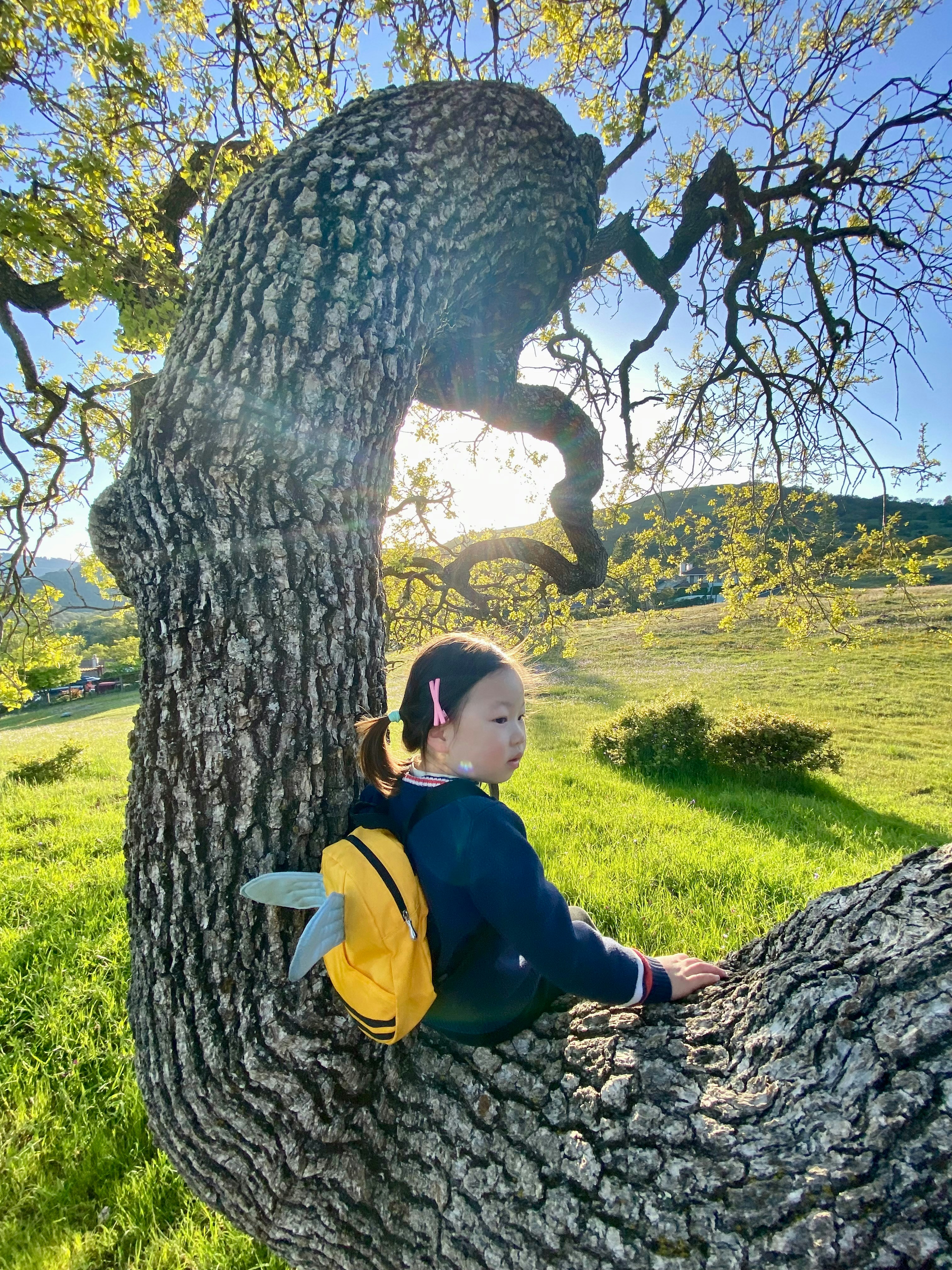 Go to Zetong Li's profile