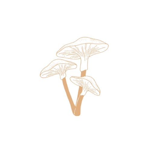 Psychedelic Online Dispensary