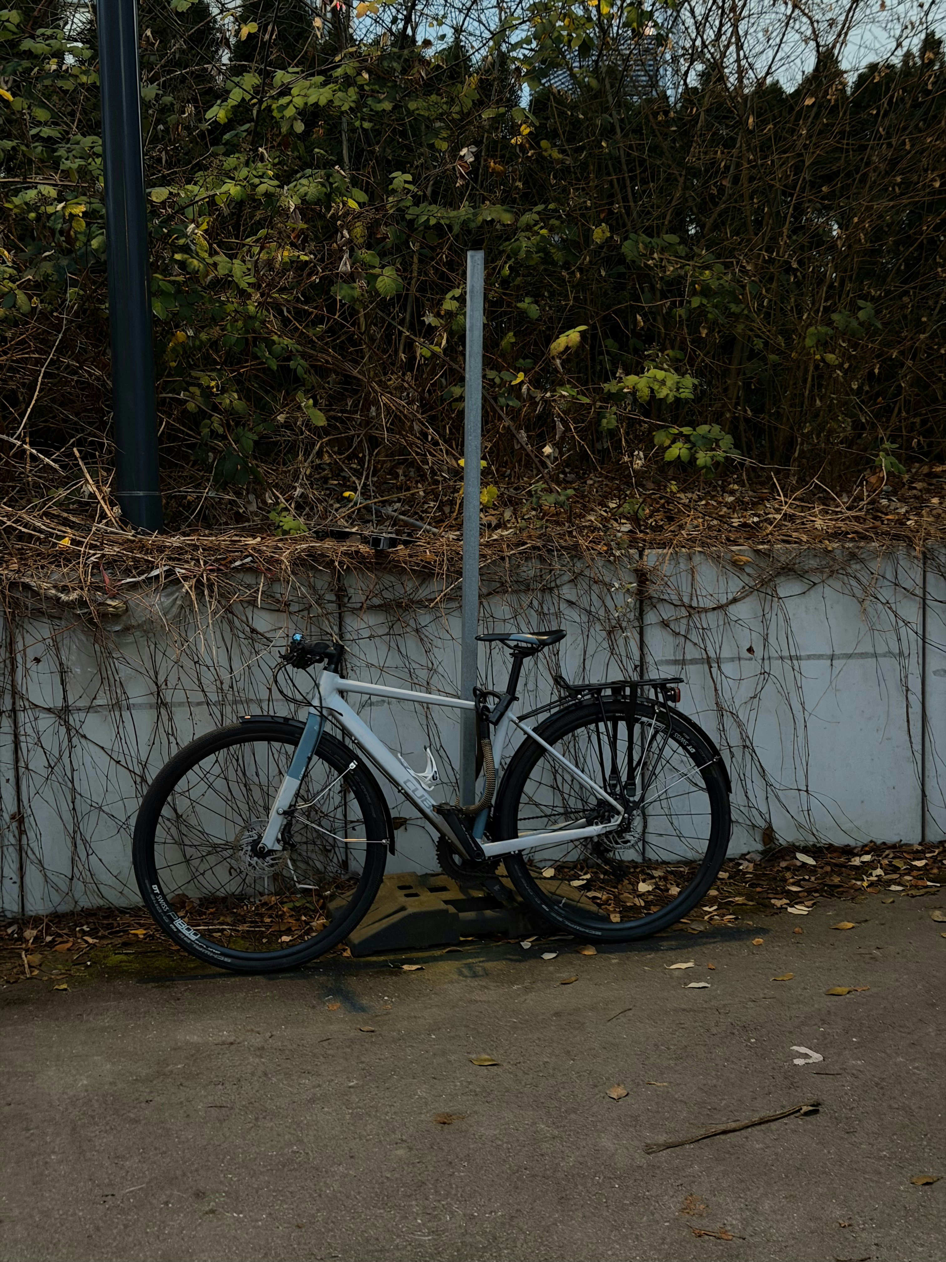 Avatar of user Maximilian Scheffler