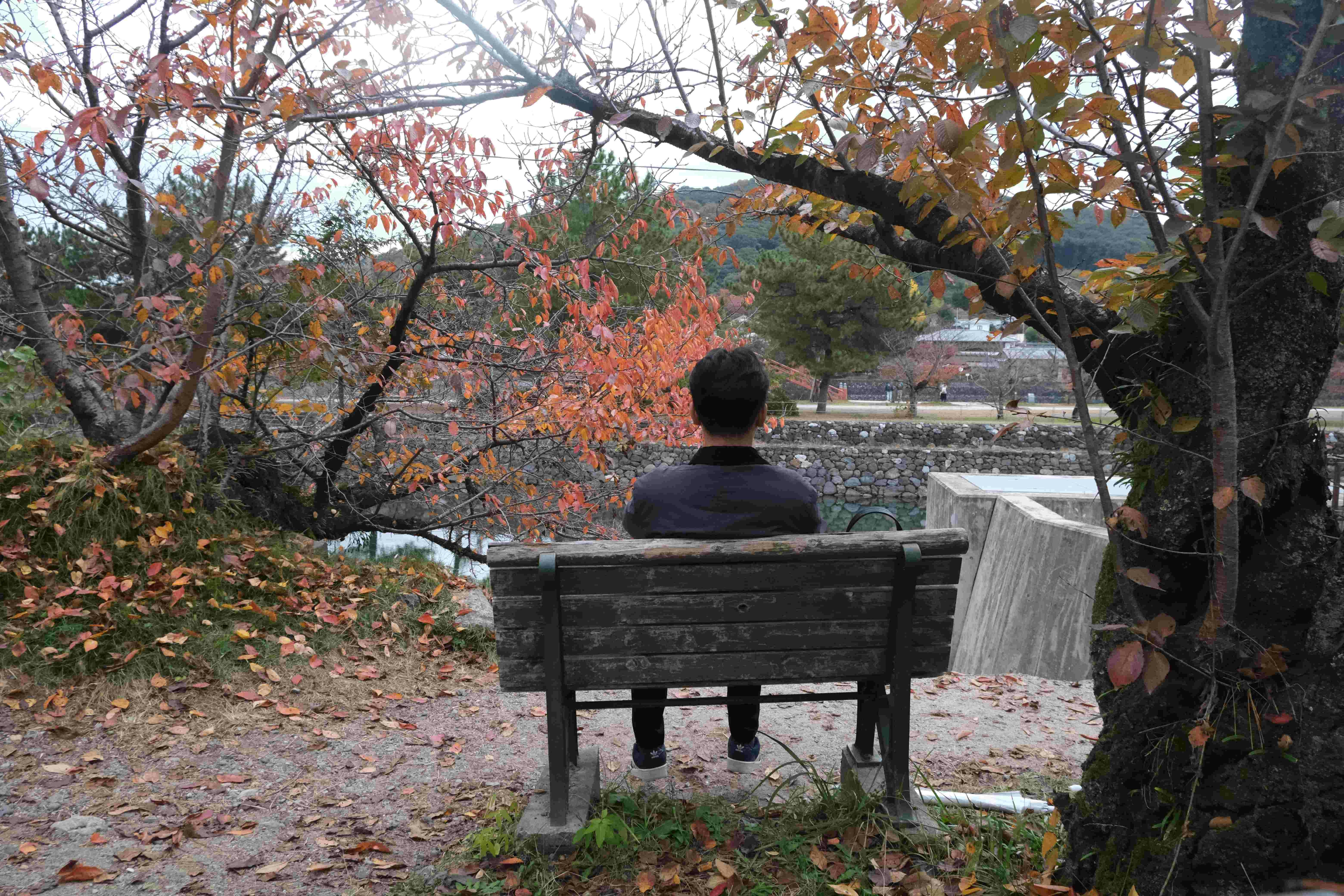 Go to Putra Wijaya's profile