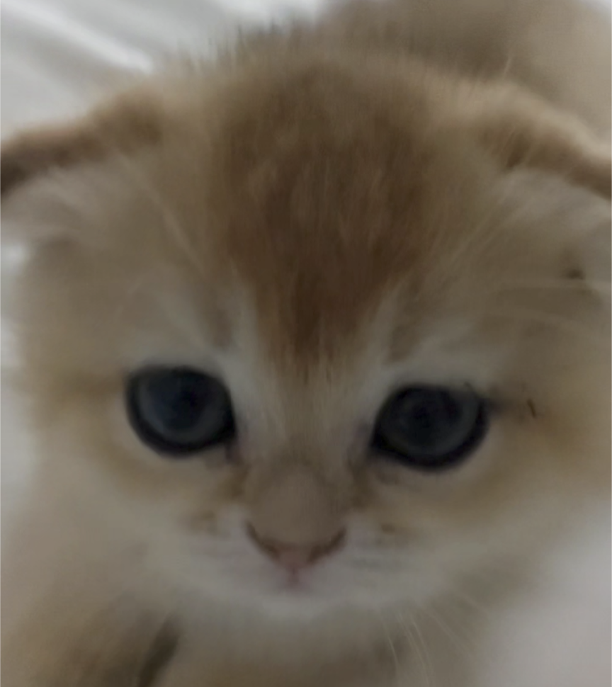 Go to Yulaan's profile