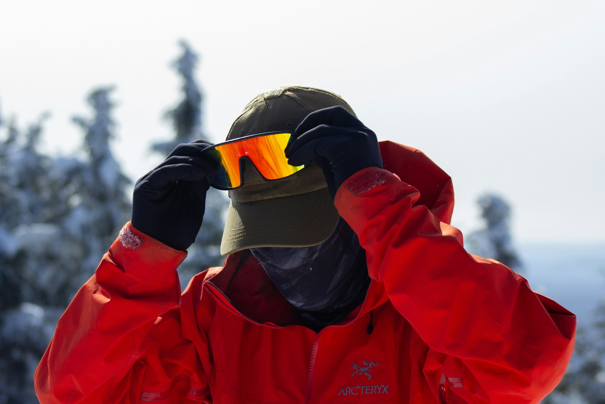 Go to Jake Velardi's profile