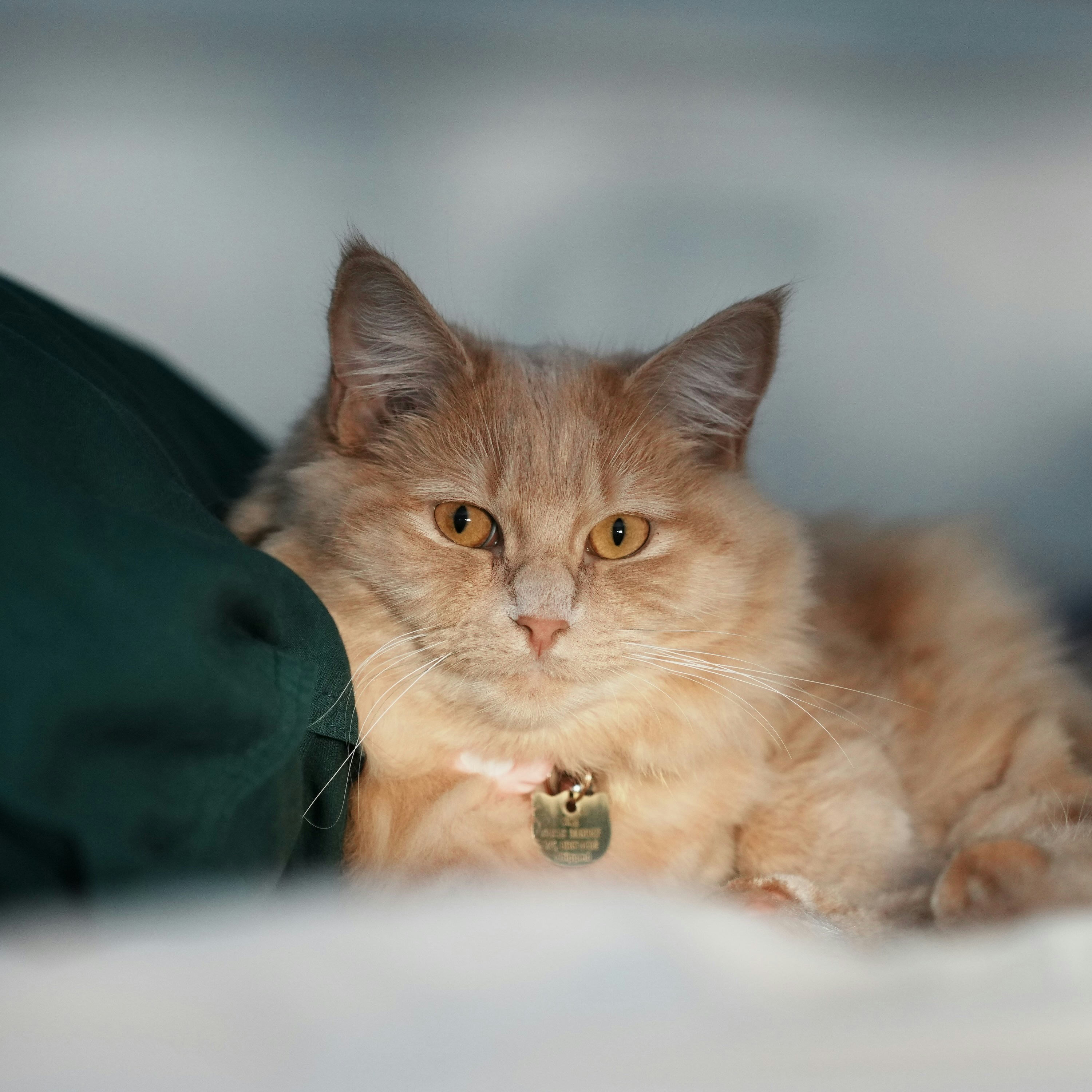 Go to Jayjayli's profile