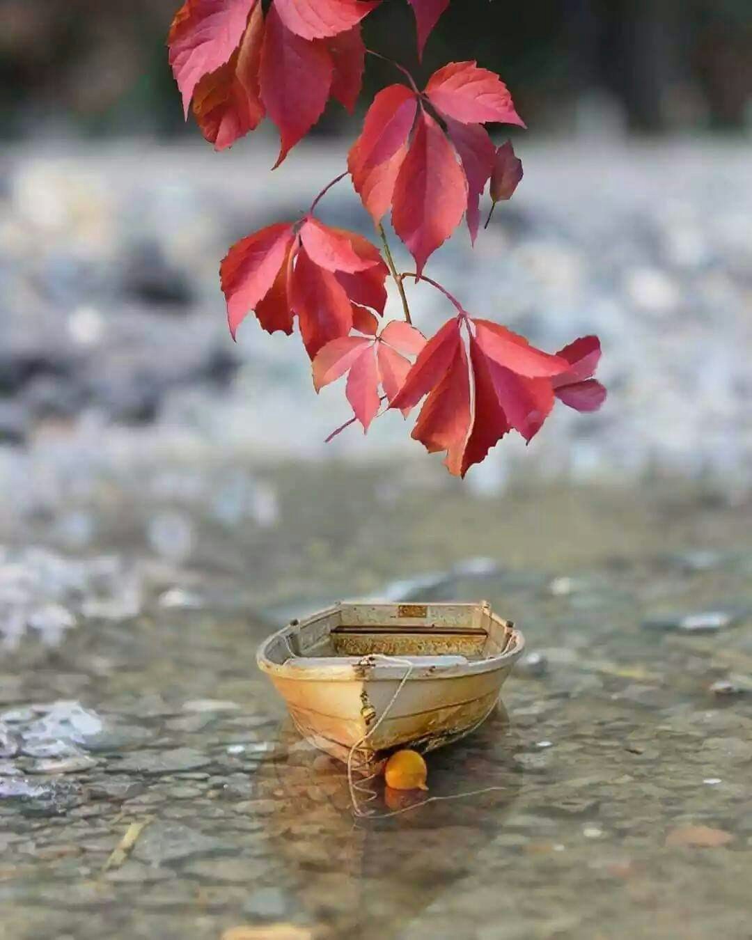 Accéder au profil de Abdul Hameed