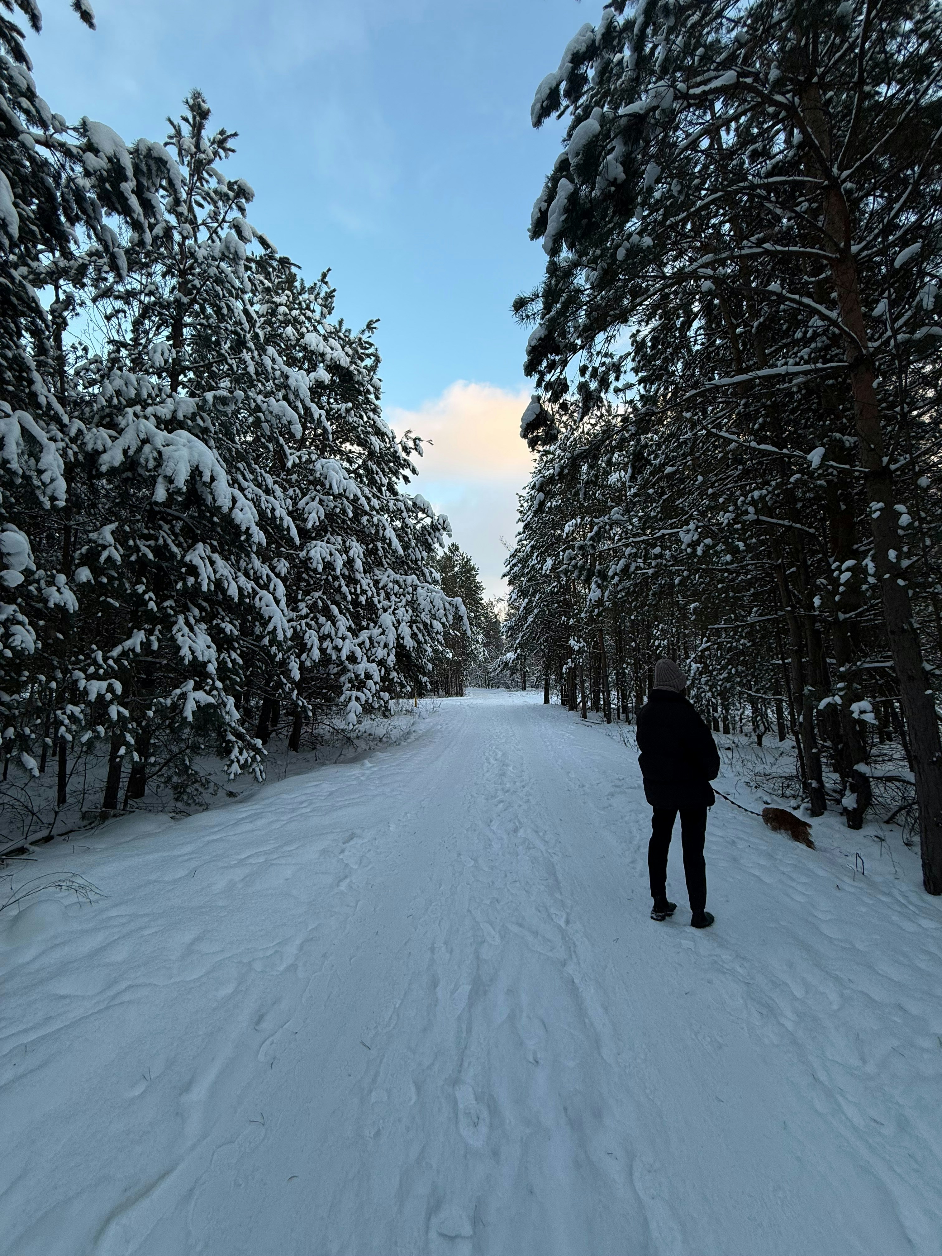 Go to Sofia Lavlinskay's profile