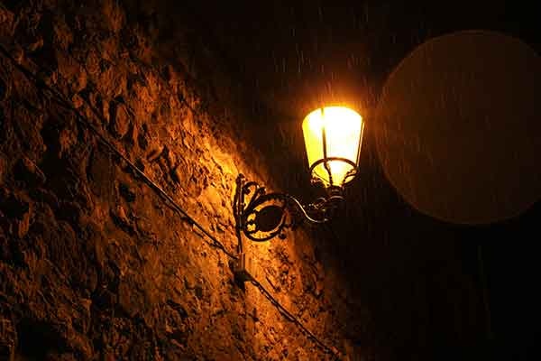 Go to Teodora Popa's profile