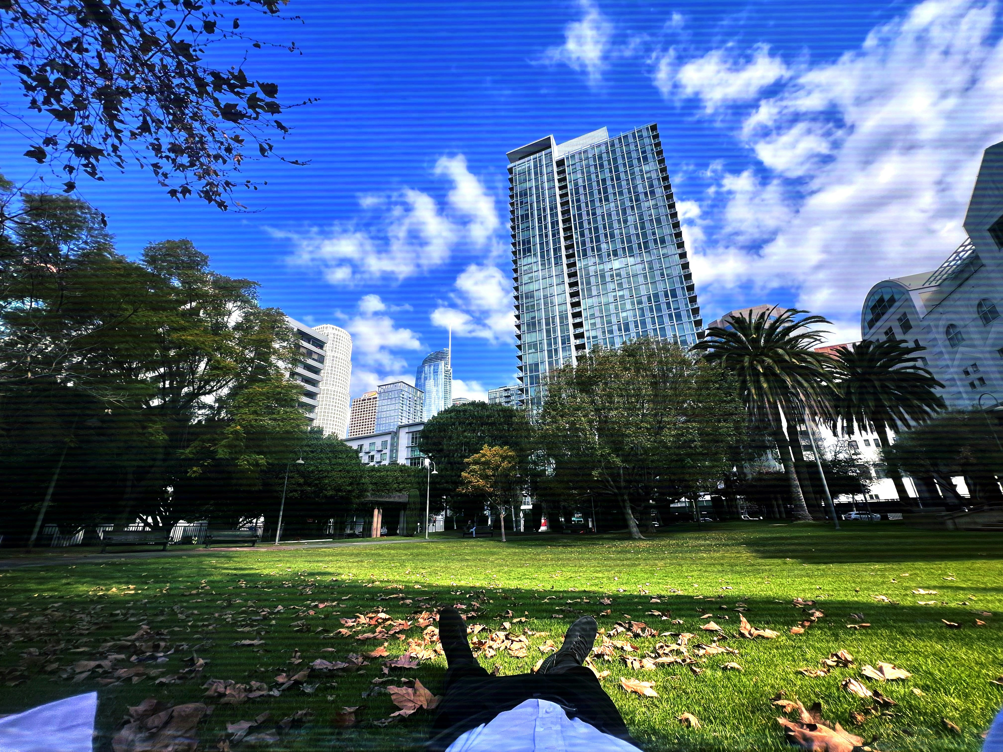 Go to John Tracey's profile