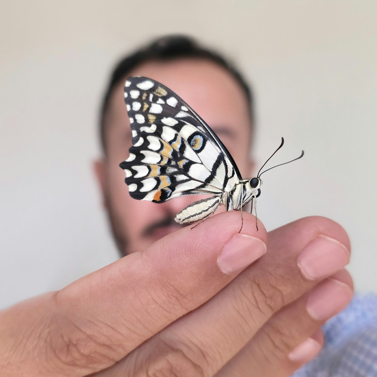 Go to Hasan Almasi's profile