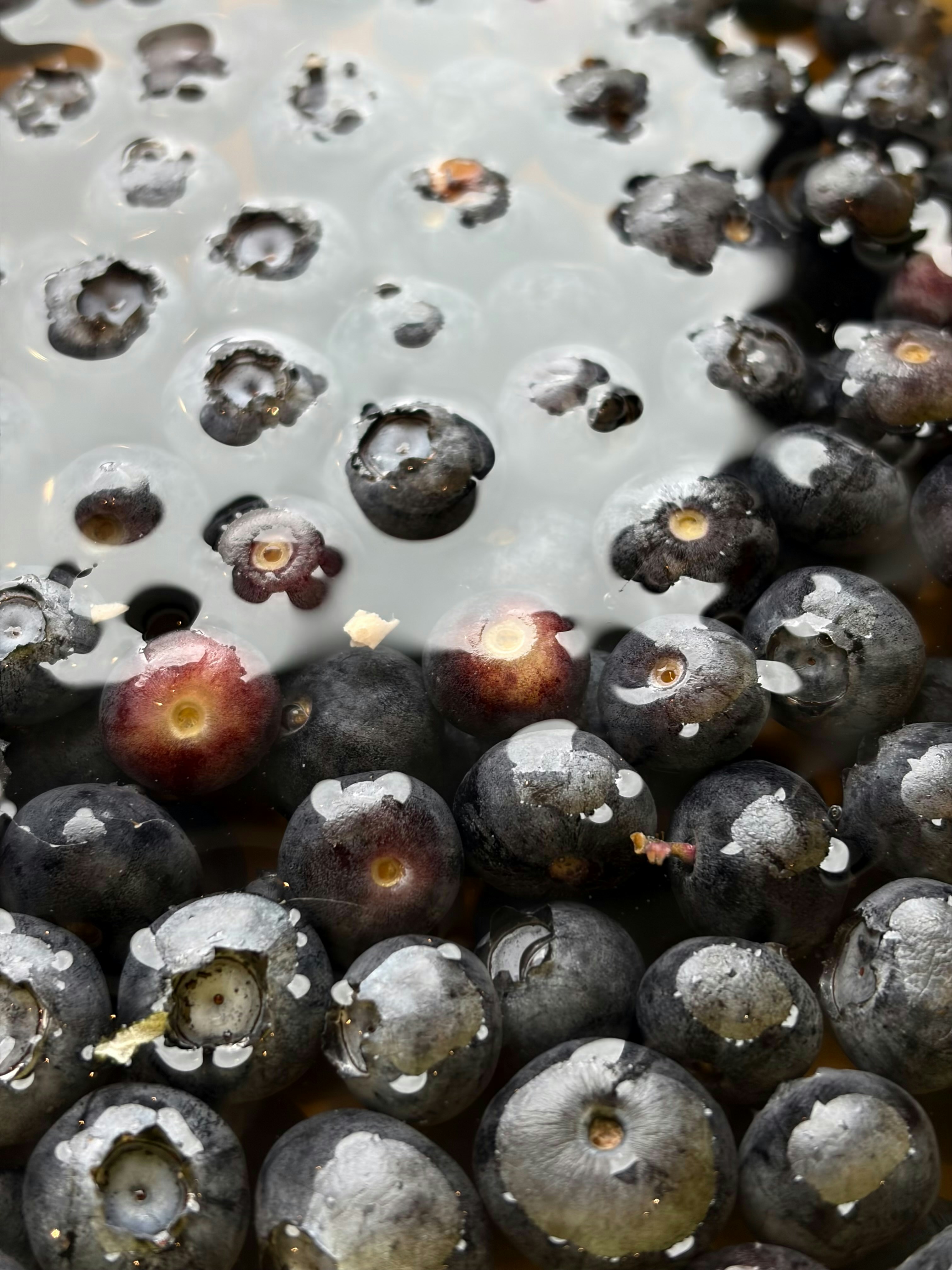 Go to Harrison Plouzek's profile