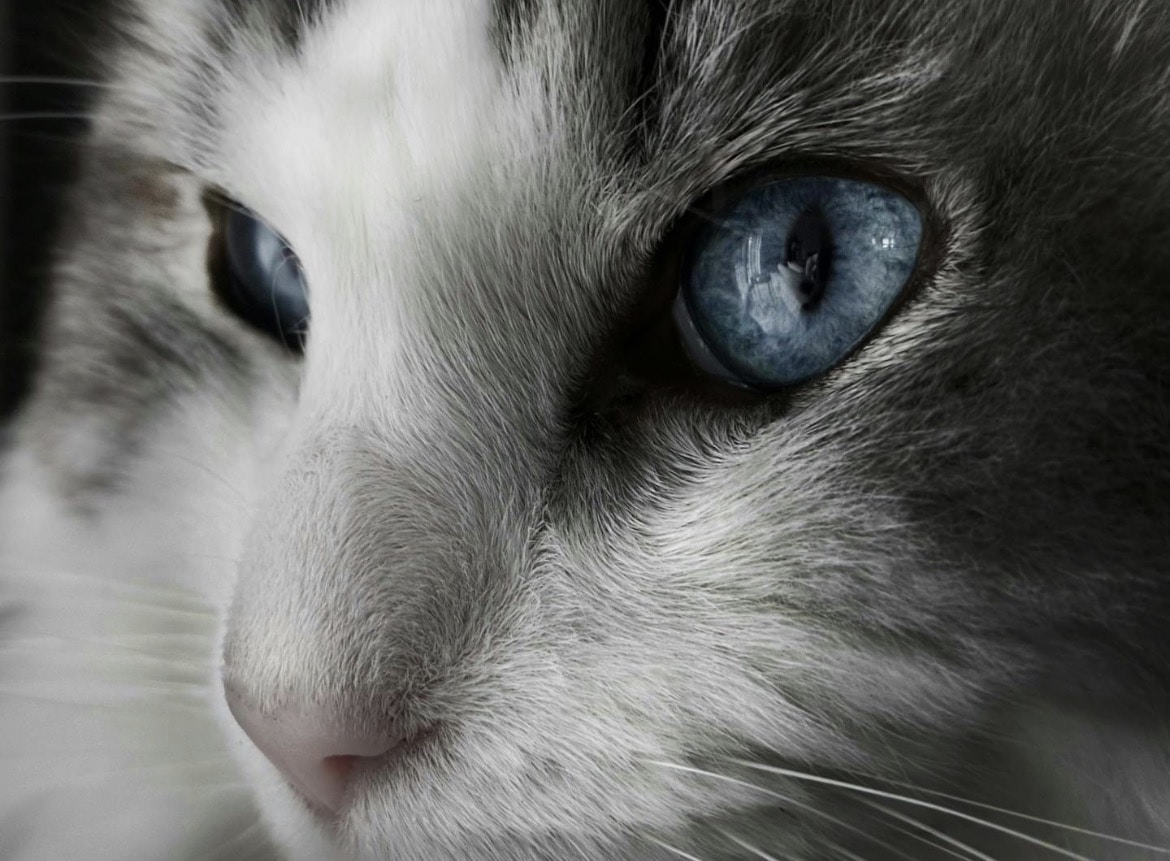 Zum Profil von Lara Bellens