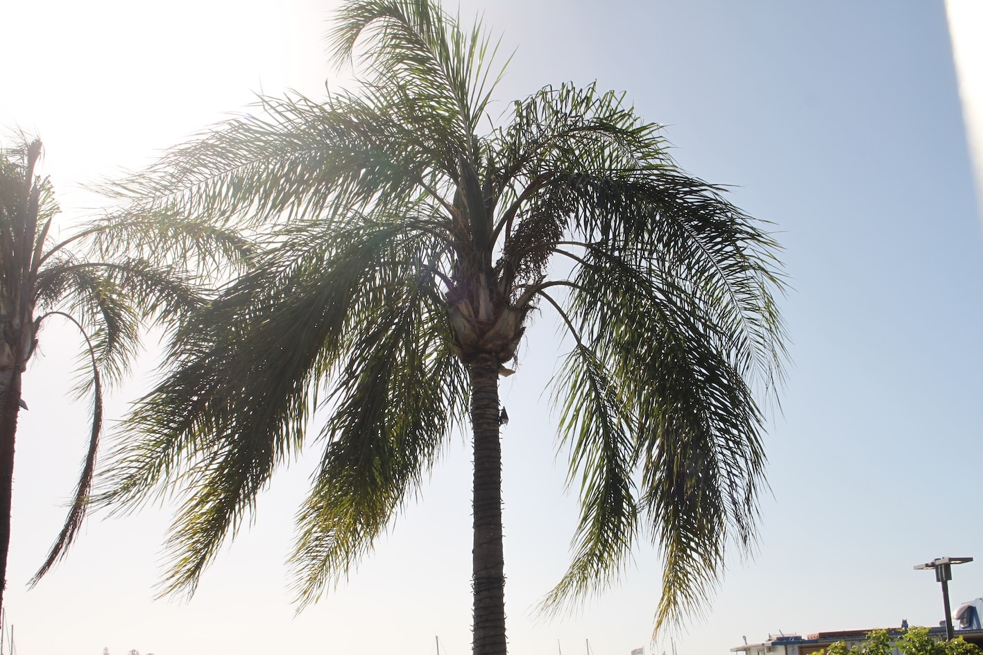 Go to Isabelle Tombleson aka The Psychologist Within's profile