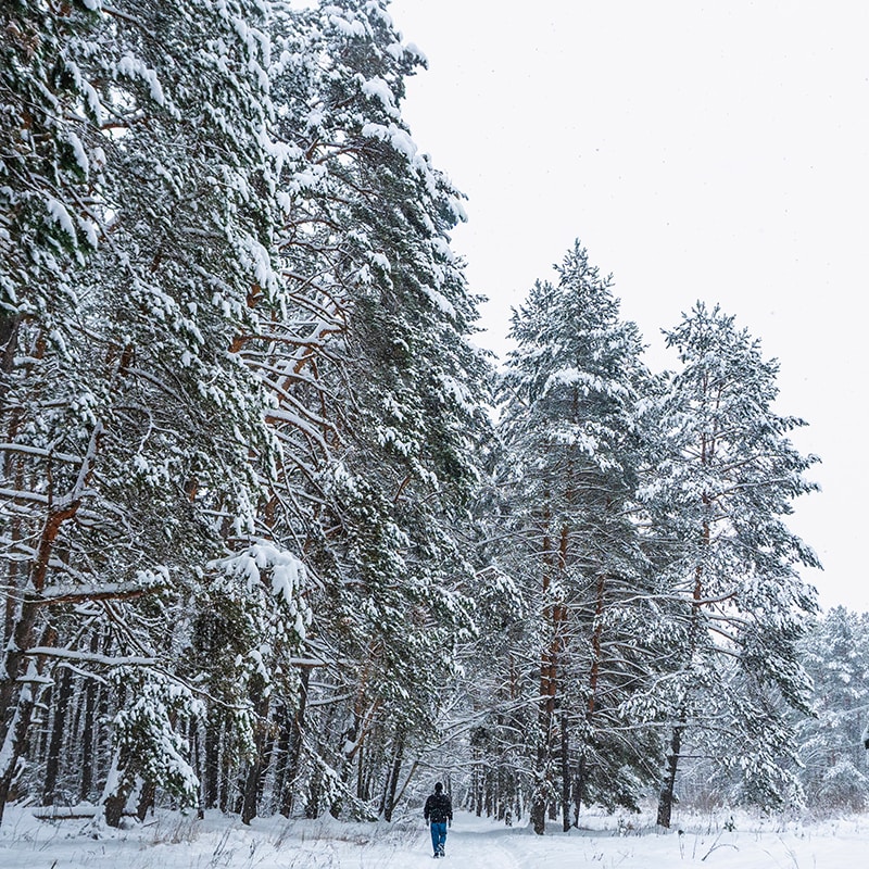 Go to Nikita Kulikov's profile