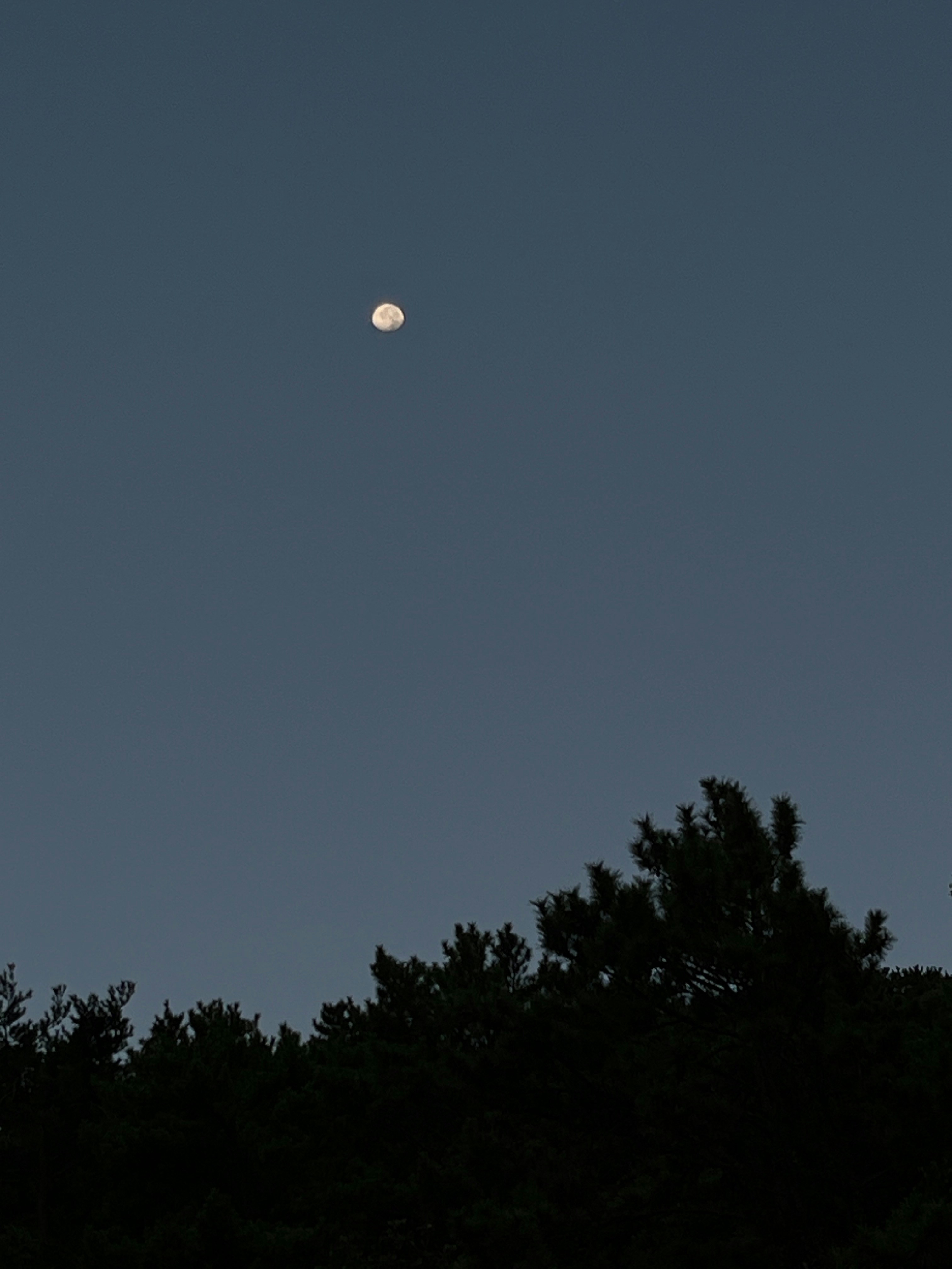 Avatar of user ogkgo