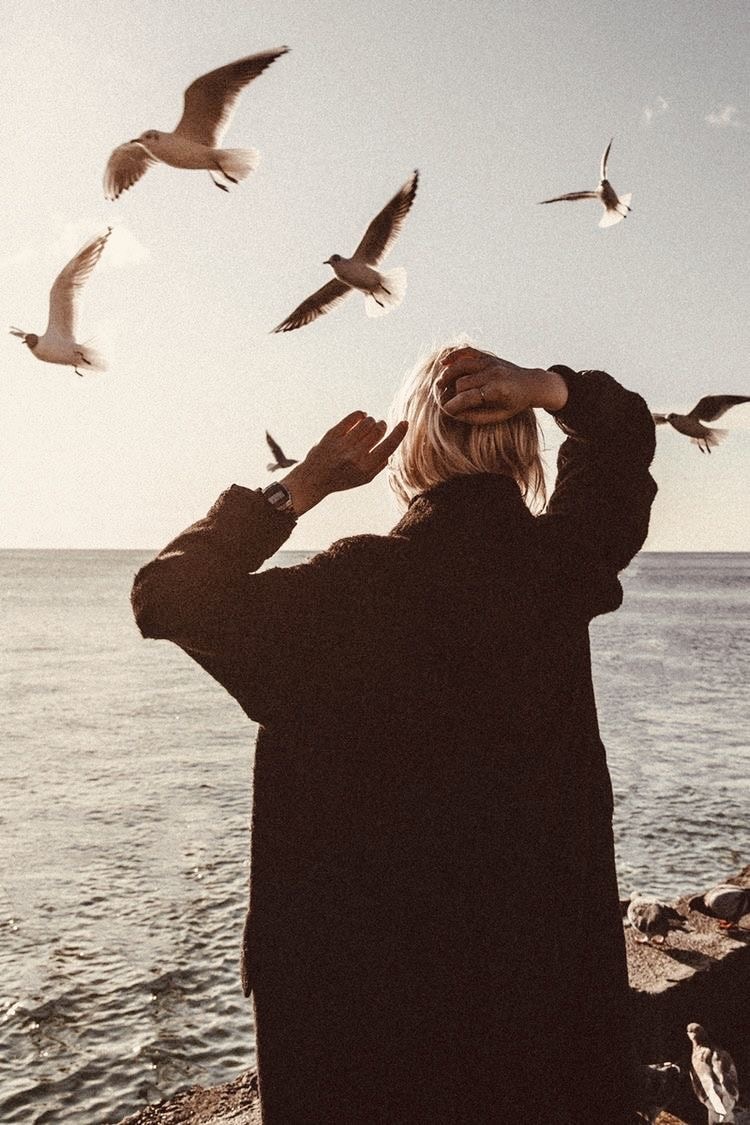 Go to Daria Shepeleva's profile