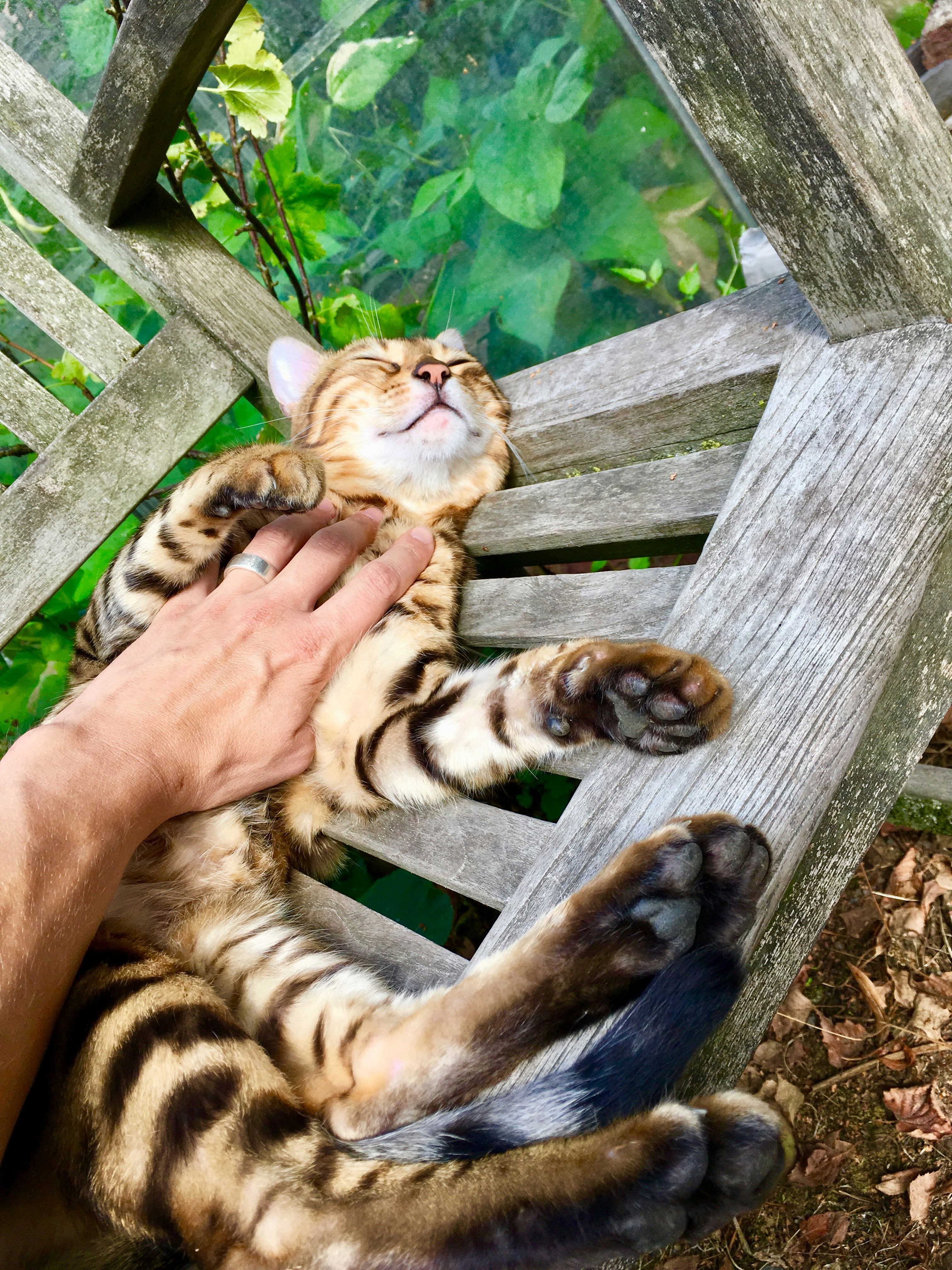 Go to Moritz R's profile