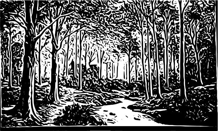 Photo and Vector Illustration Room