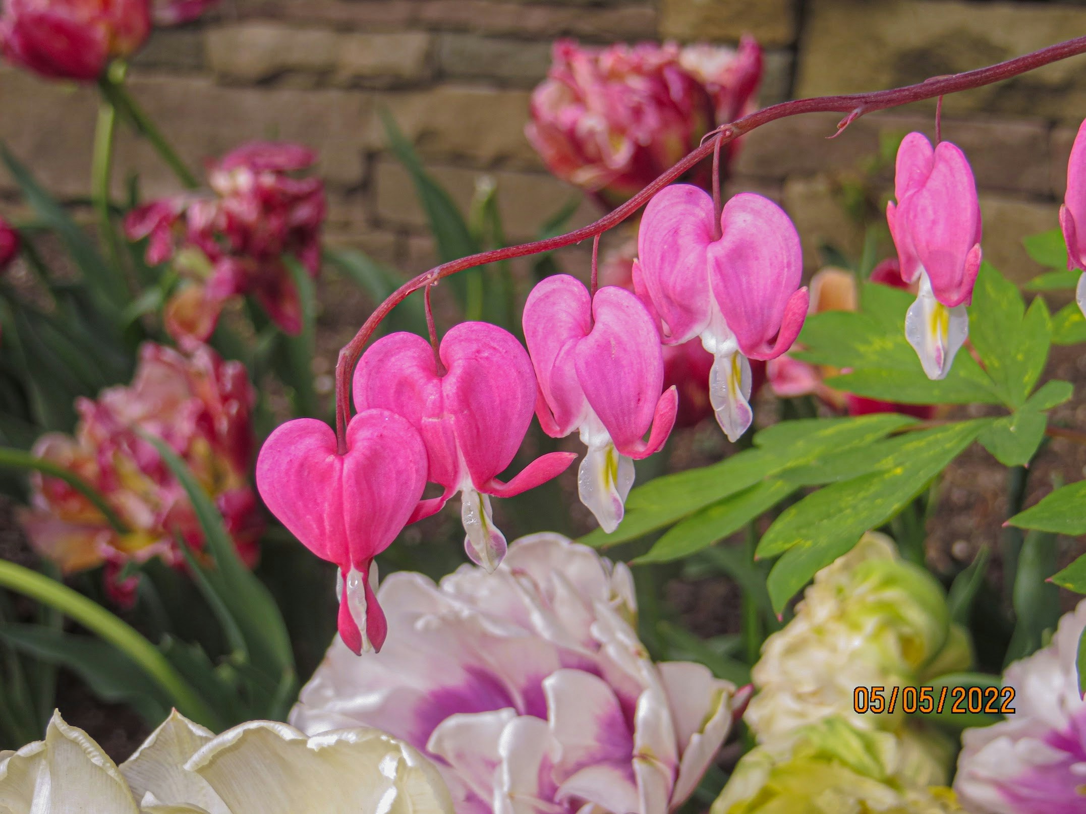 Go to Kat Porto's profile